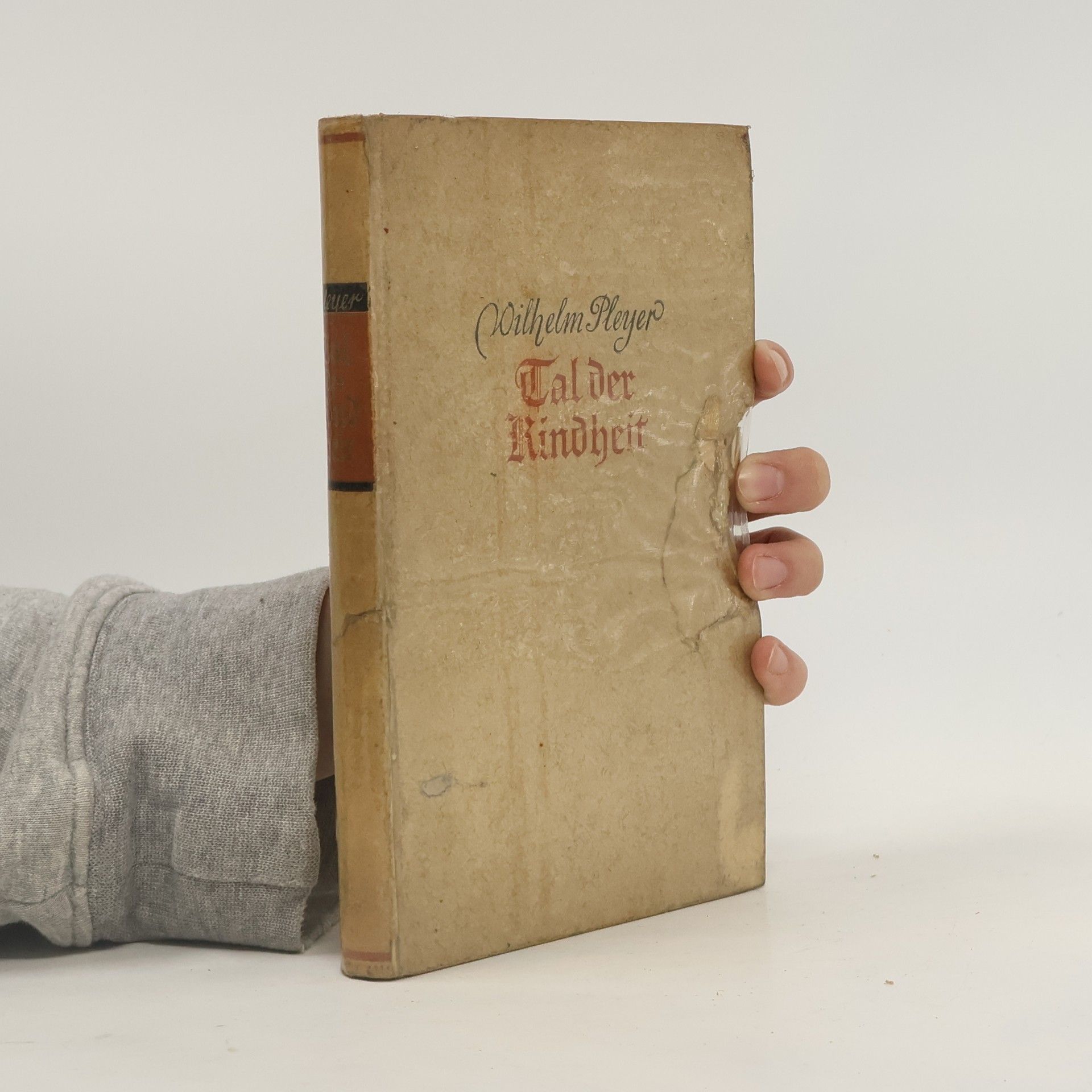 Wilhelm Pleyer Tal der Kindheit