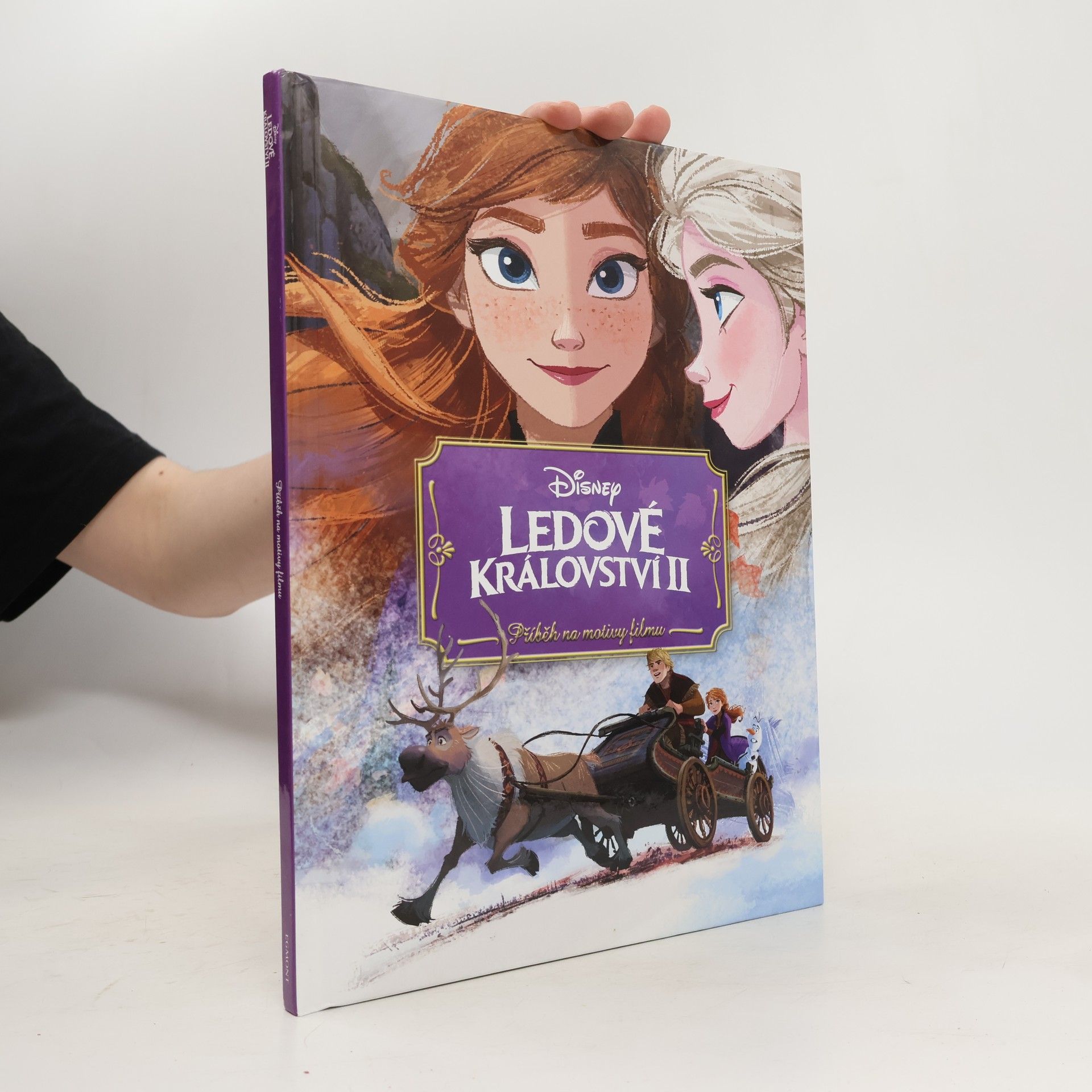 Petra Vichrová Ledové království II