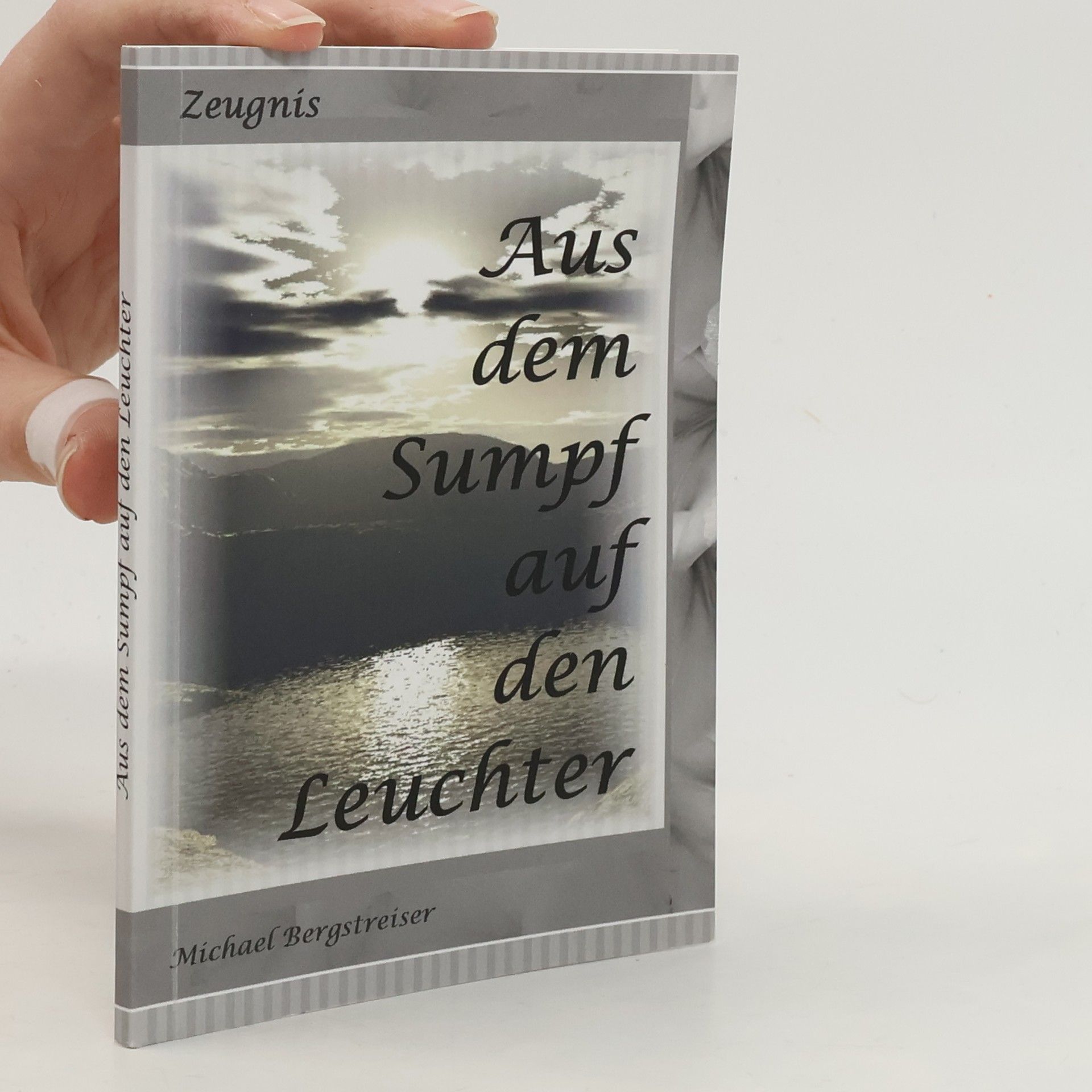 Michael Bergstreiser  Aus dem Sumpf auf den Leuchter