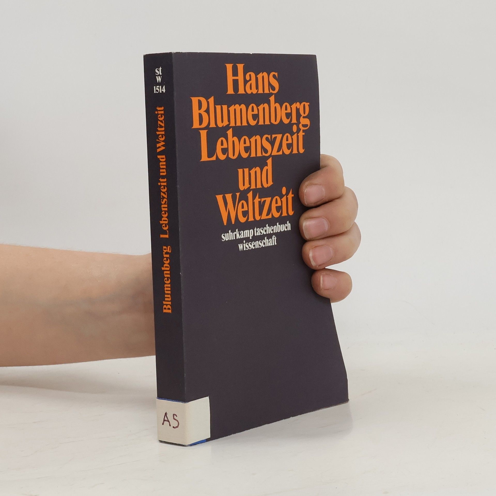 Hans Blumenberg Lebenszeit und Weltzeit