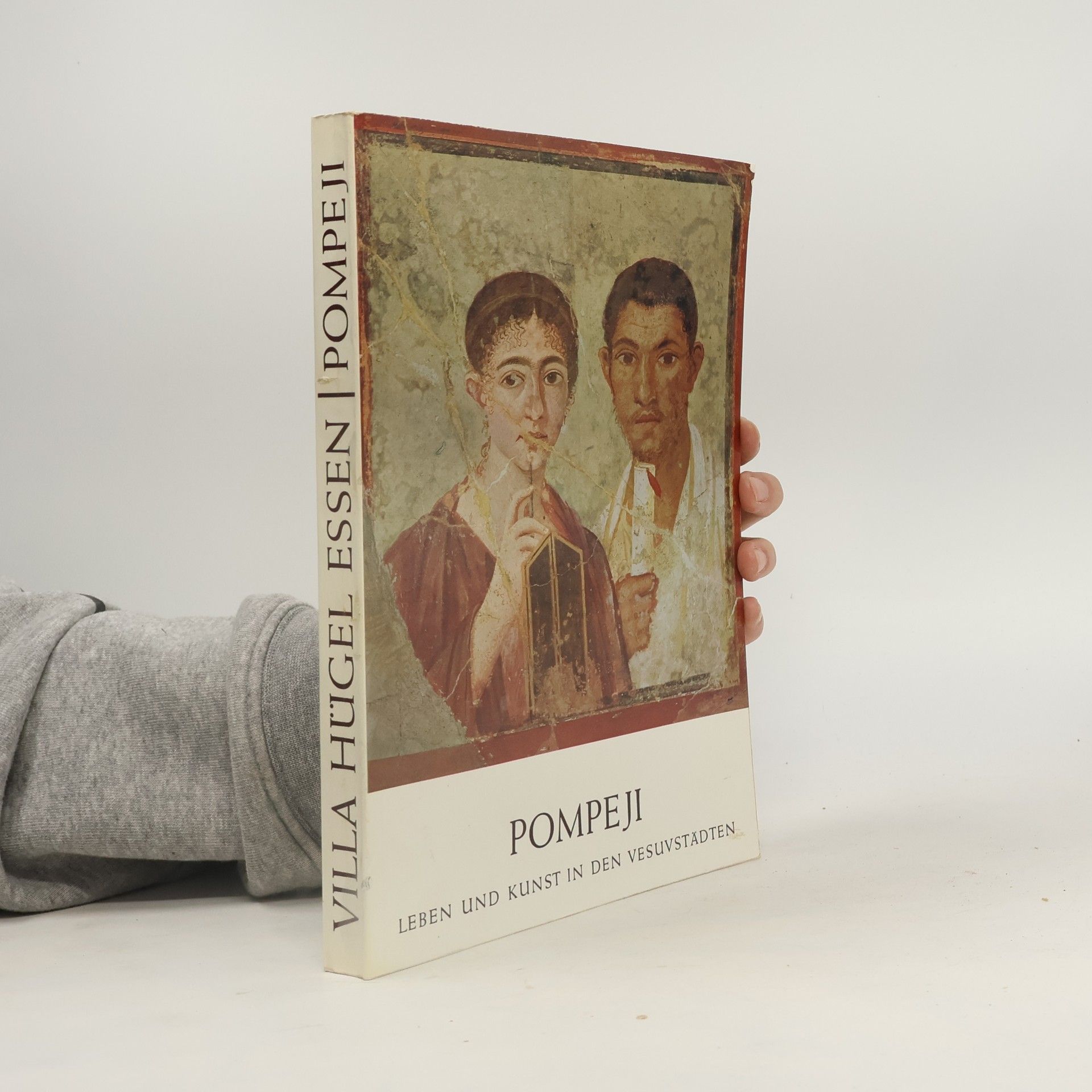 Bernard Andreae Pompeji: Leben und Kunst in den Vesuvstädten