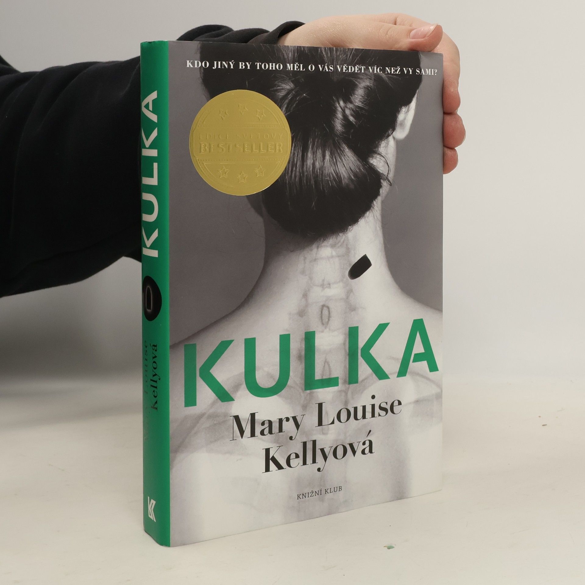 Mary Louise Kelly Kulka