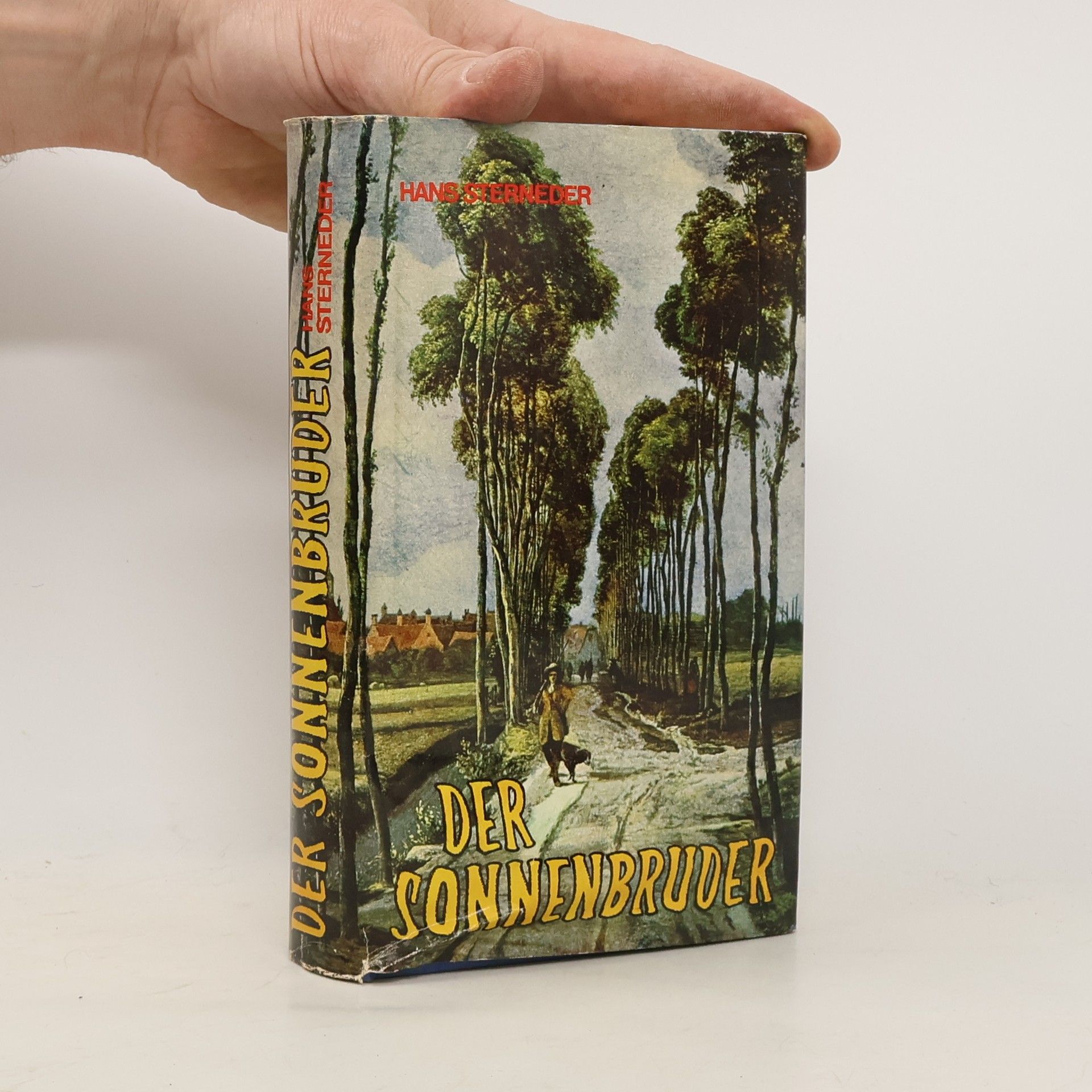 Hans Sterneder Der Sonnenbruder