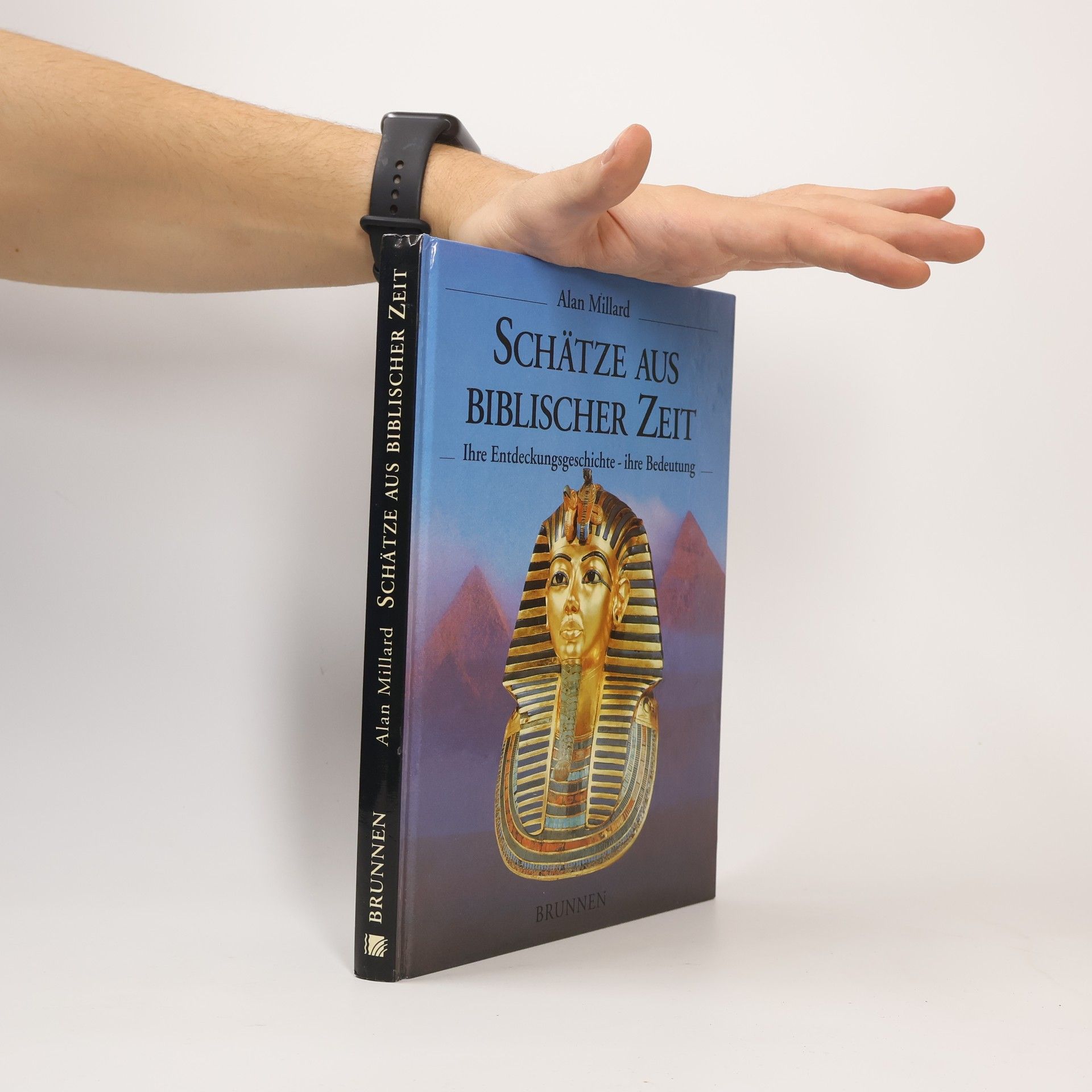 Alan R. Millard Schätze aus biblischer Zeit