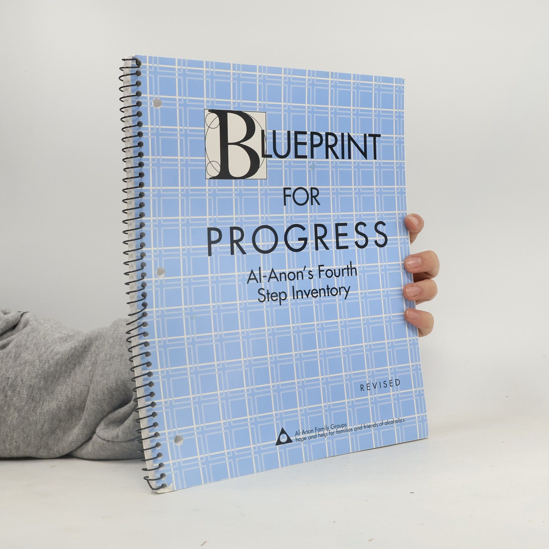 Blueprint for Progress