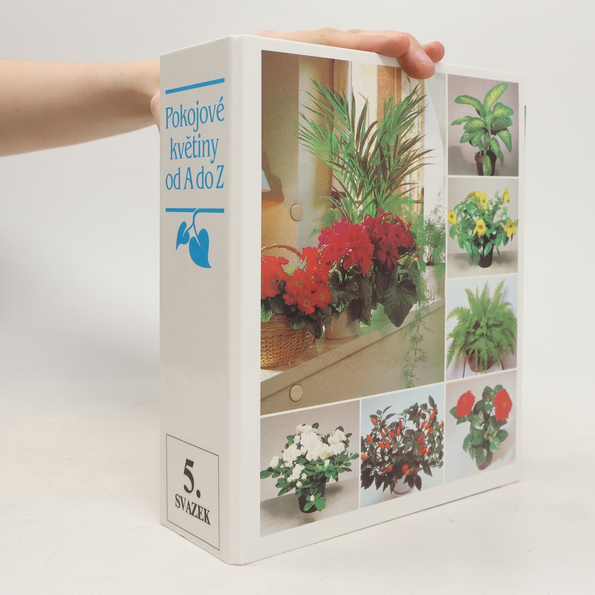 Auteurscollectief Pokojové květiny od A do Z. 5. svazek