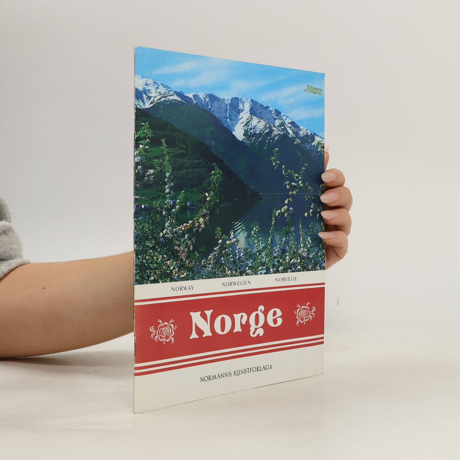 Kolektiv autorů Norge