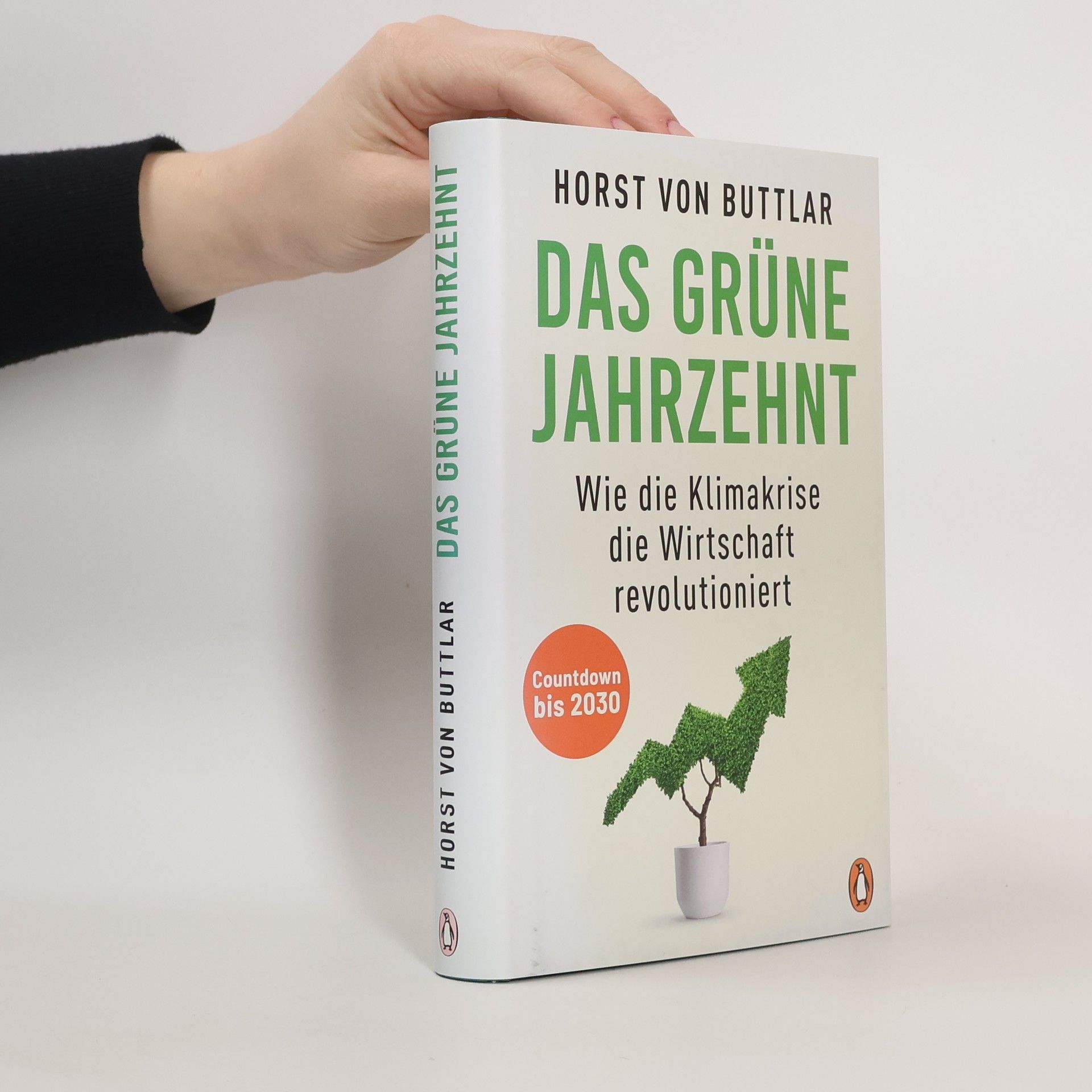 Horst von Buttlar Das grüne Jahrzehnt