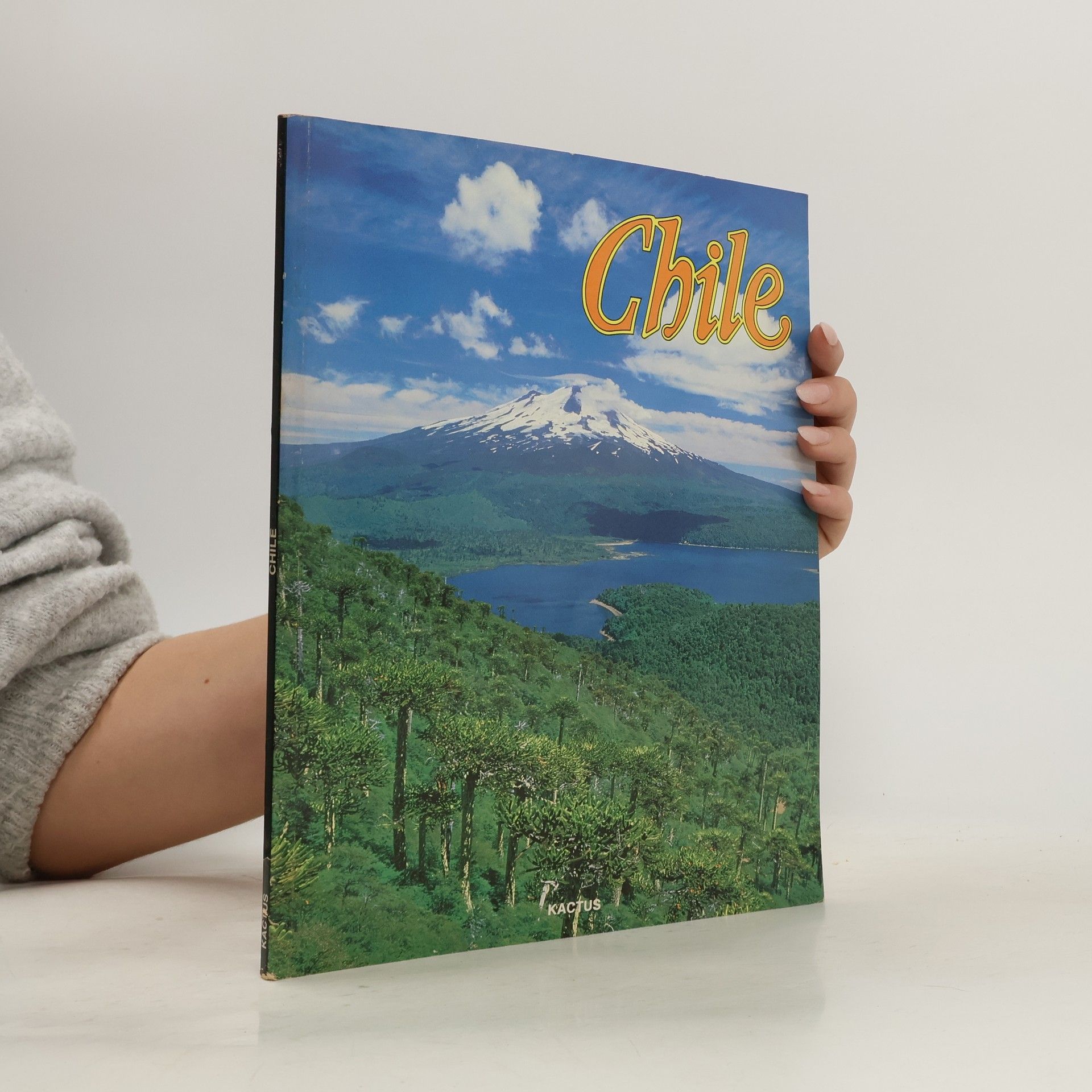 Kolektiv autorů Chile