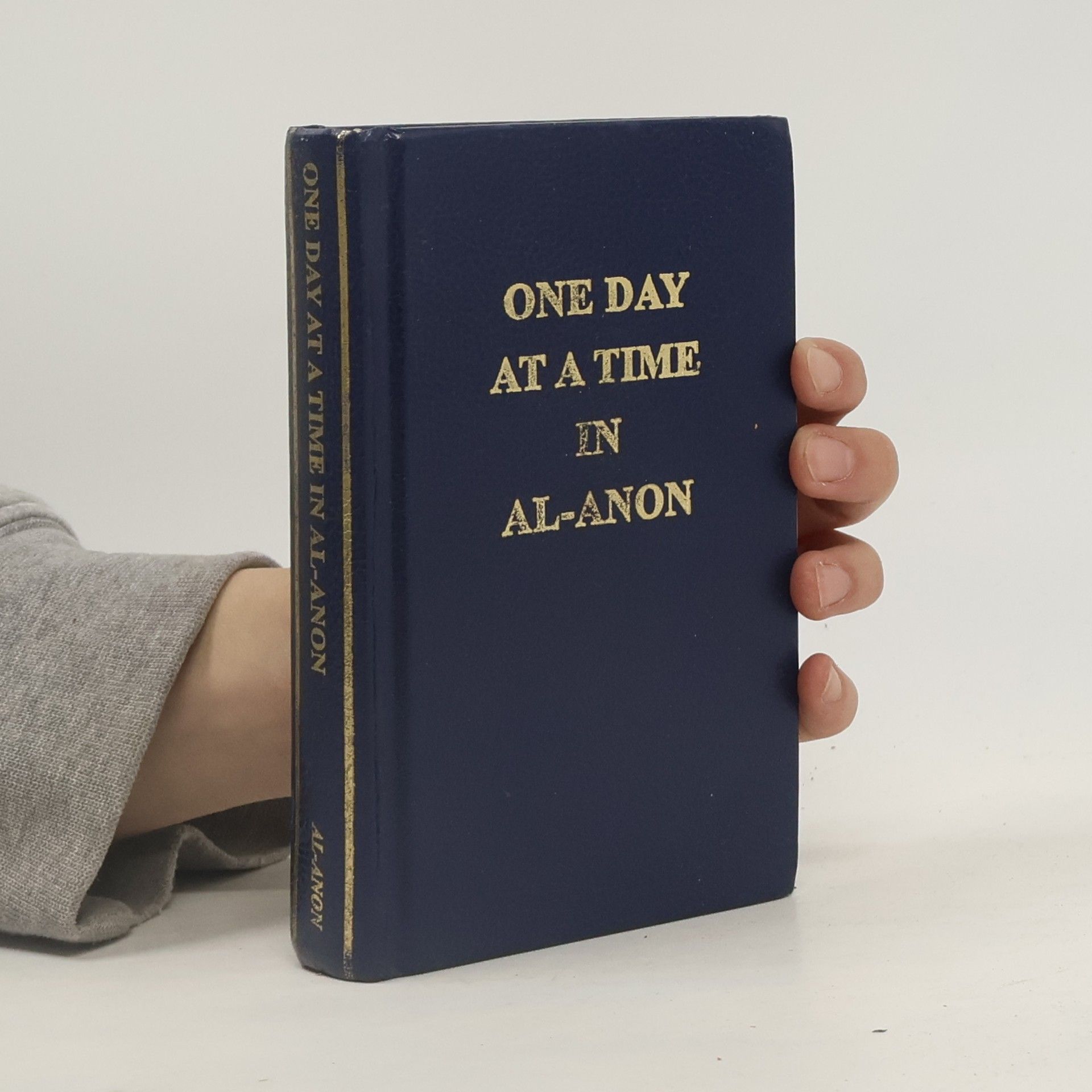 Kolektiv autorů Paths to Recovery