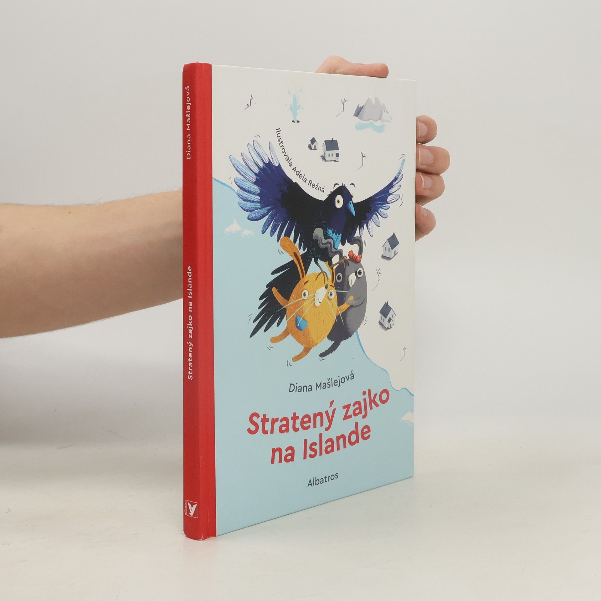 Adela Režná Stratený zajko na Islande