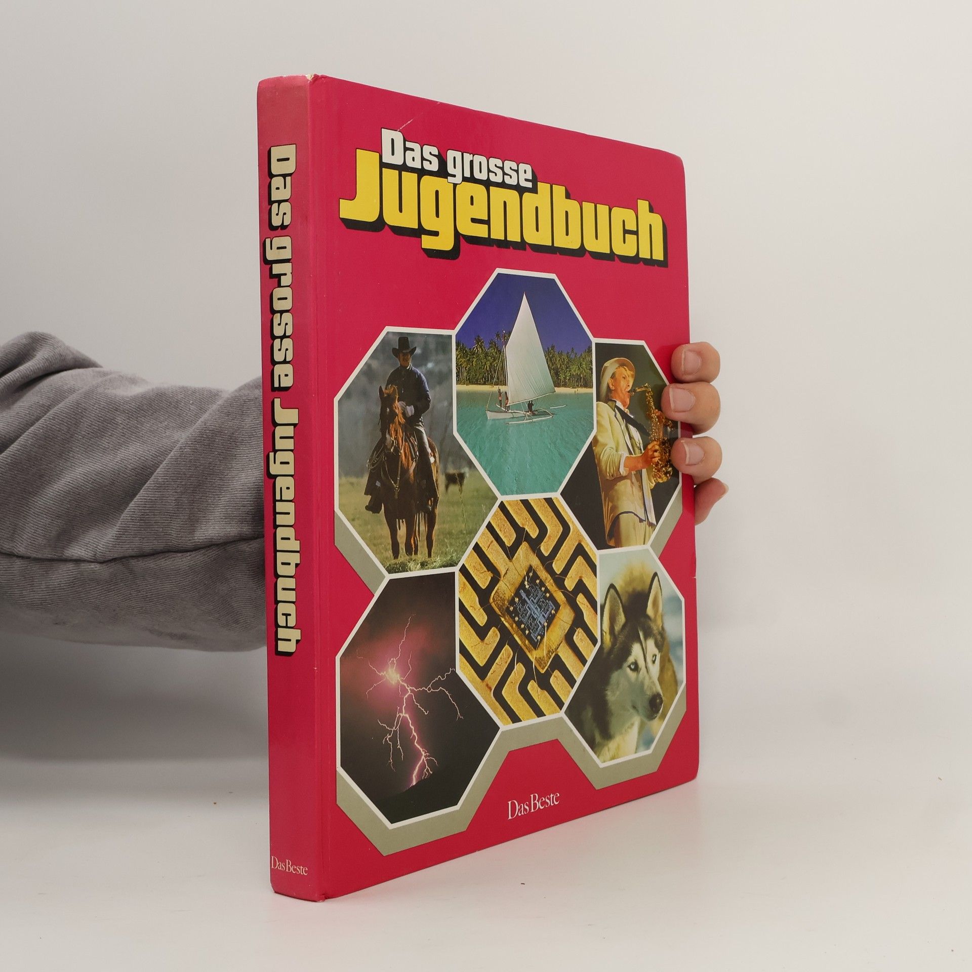 Autorenkollektiv Das große Jugendbuch