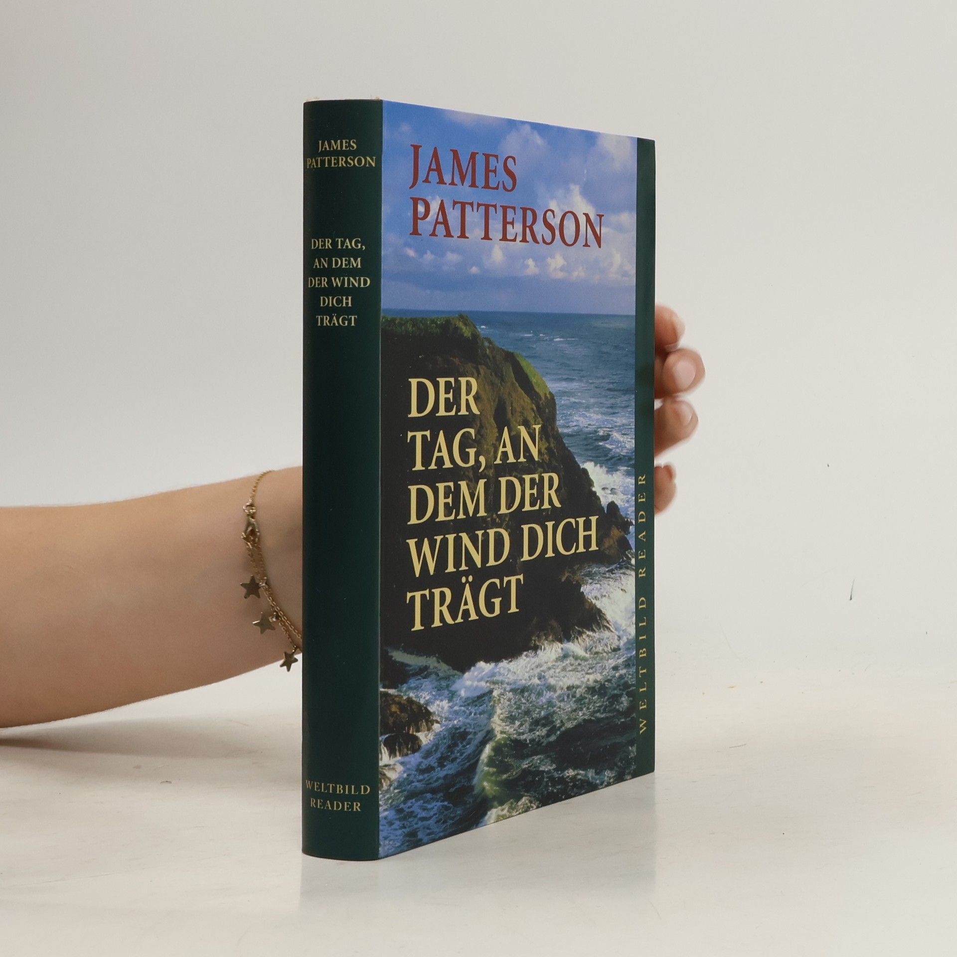 James Patterson Der Tag, an dem der Wind dich trägt