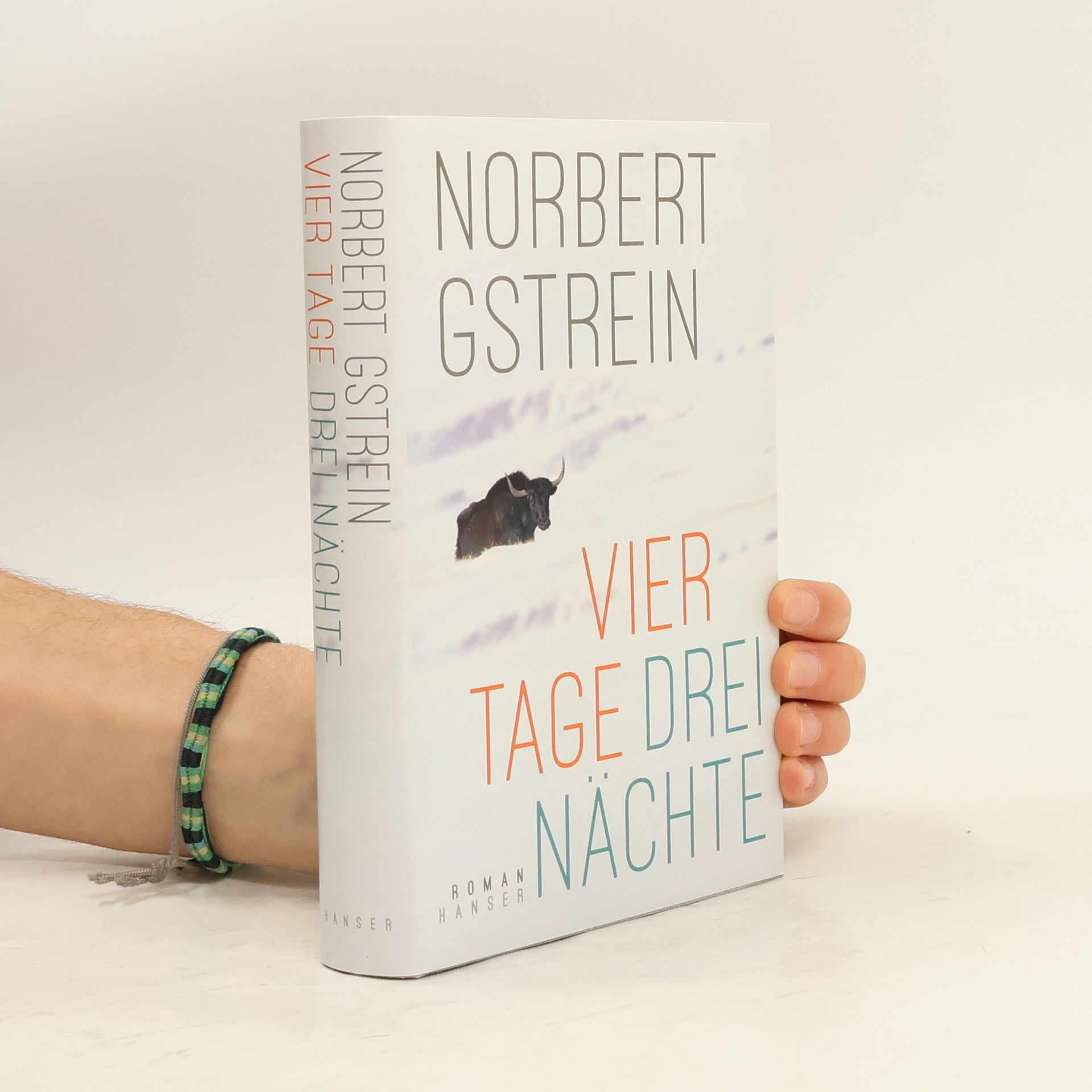 Norbert Gstrein Vier Tage, drei Nächte