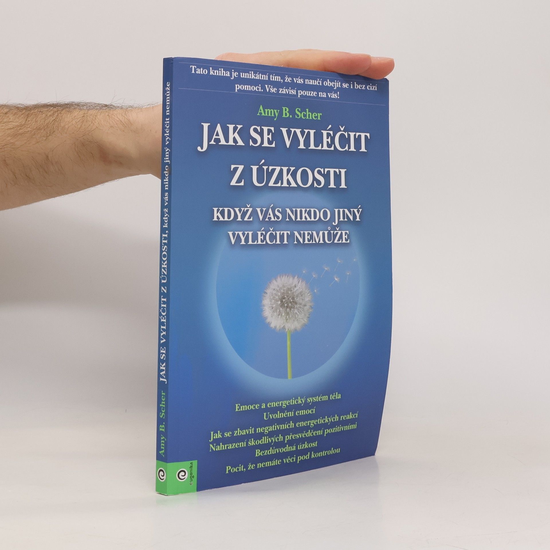 Amy B. Scher Jak se vyléčit z úzkosti, když vás nikdo jiný vyléčit nemůže