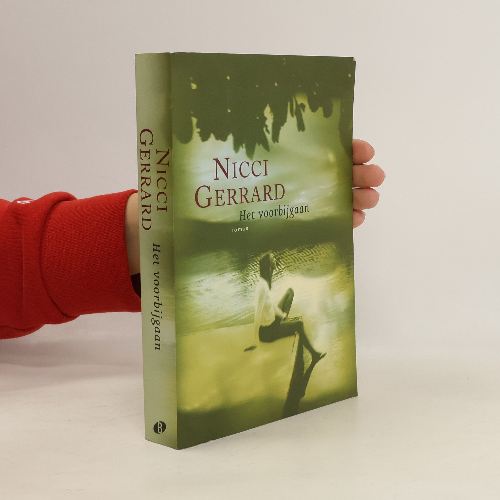 Nicci Gerrard Het voorbijgaan
