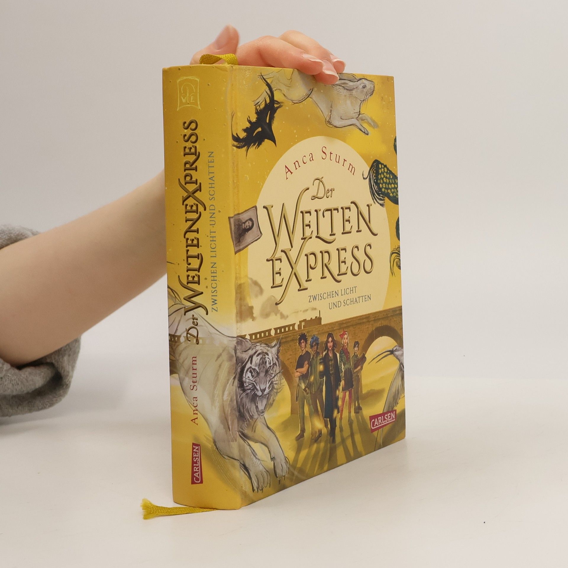 Anca Sturm Der Welten Express - Zwischen Licht und Schatten