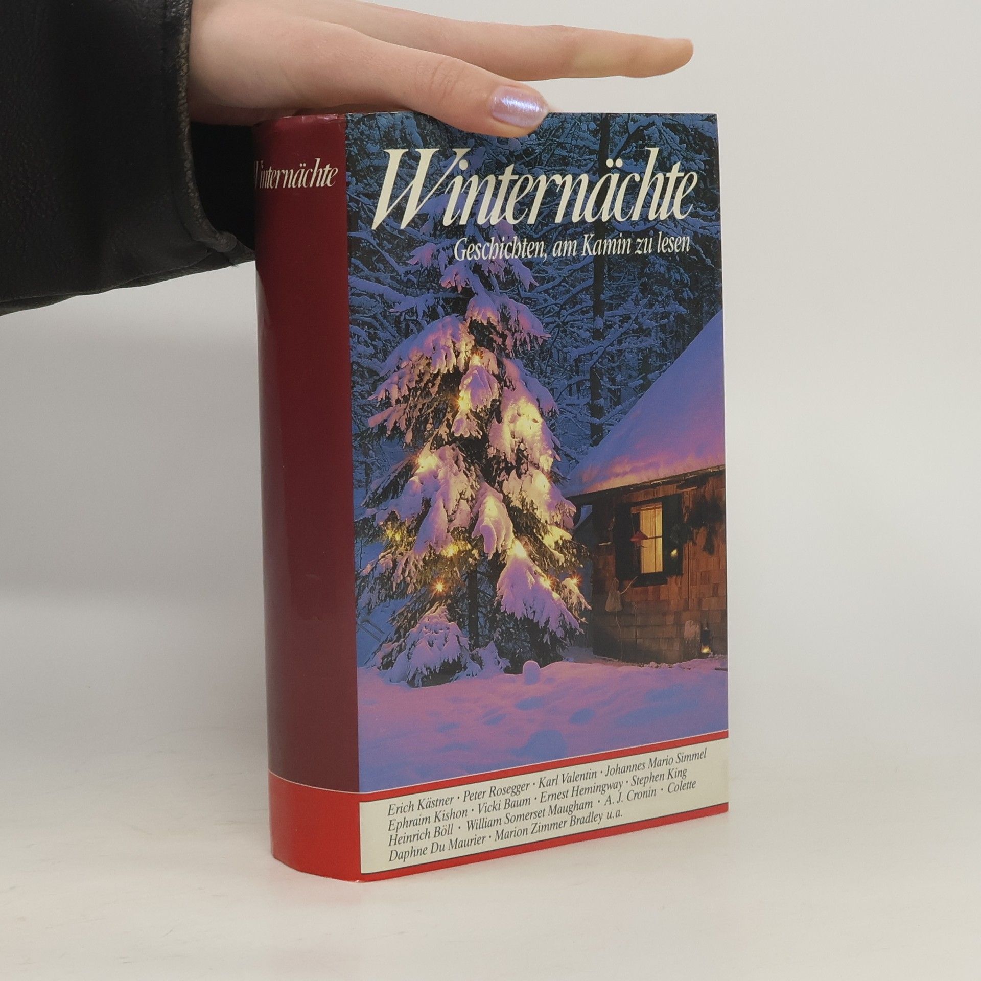 Autorenkollektiv Winternächte. Geschichten, am Kamin zu lesen
