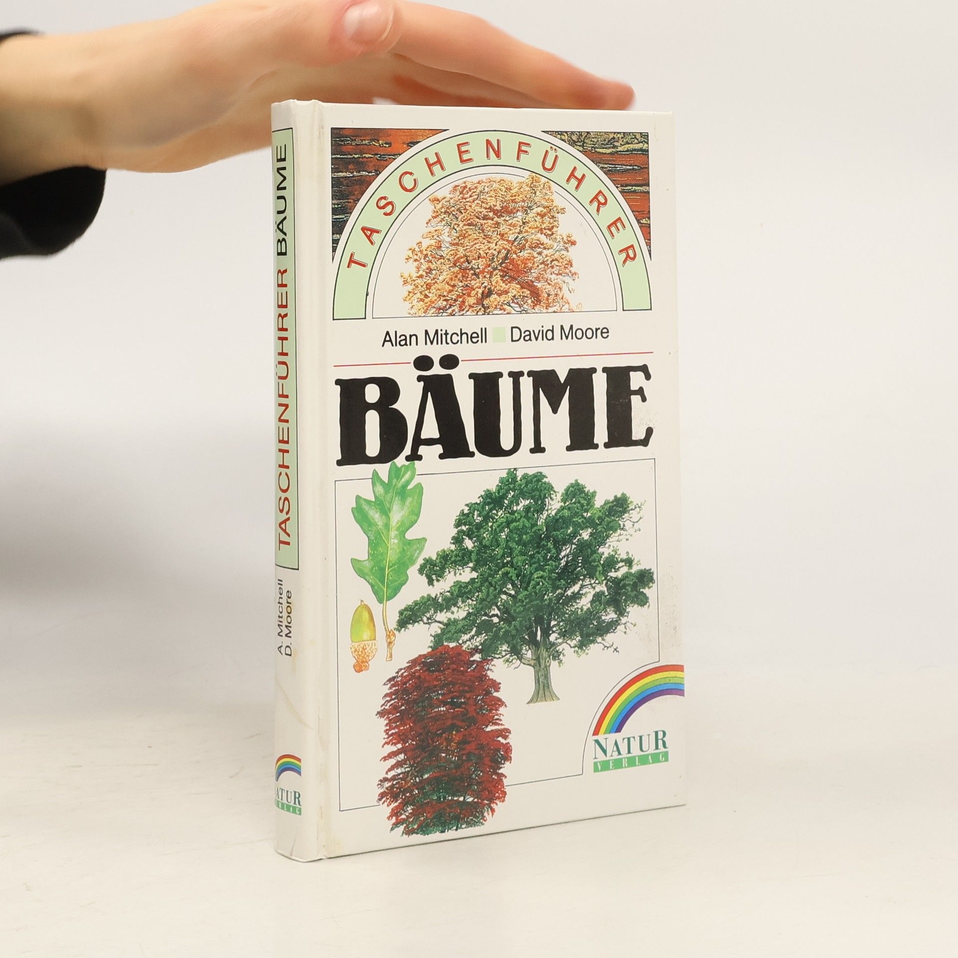 Alan Mitchell  Taschenführer Bäume