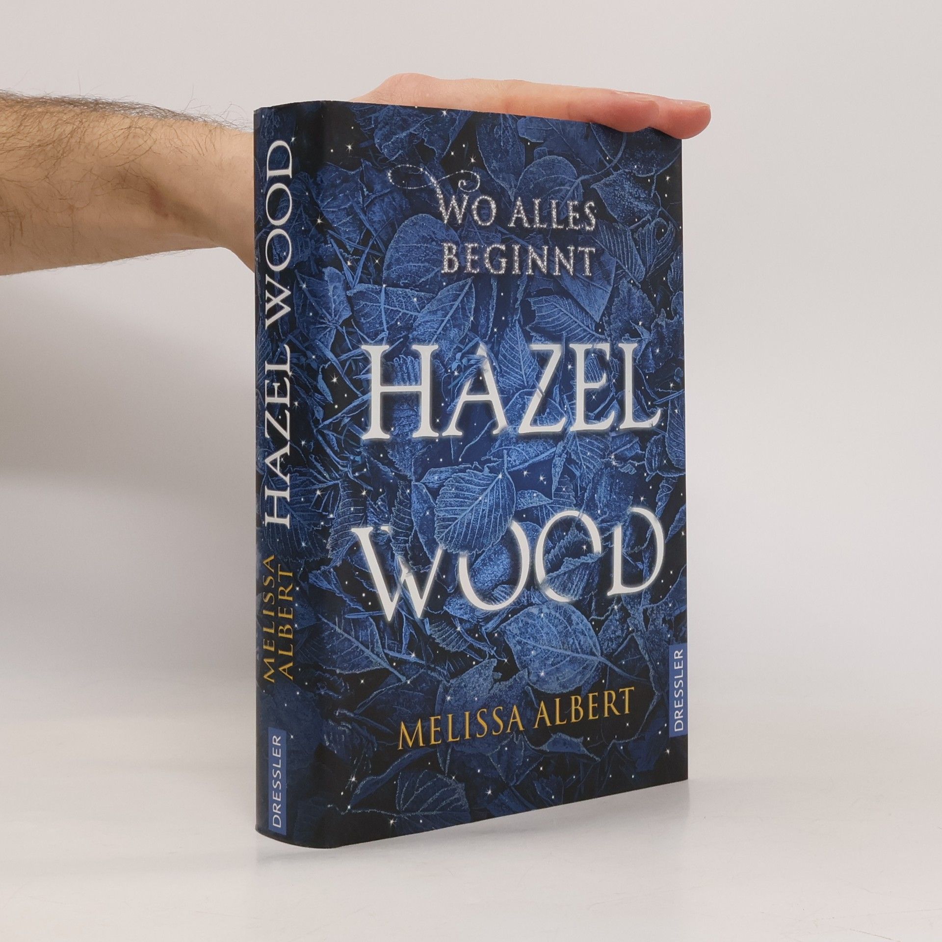 Melissa Albert Hazel Wood: Wo alles beginnt
