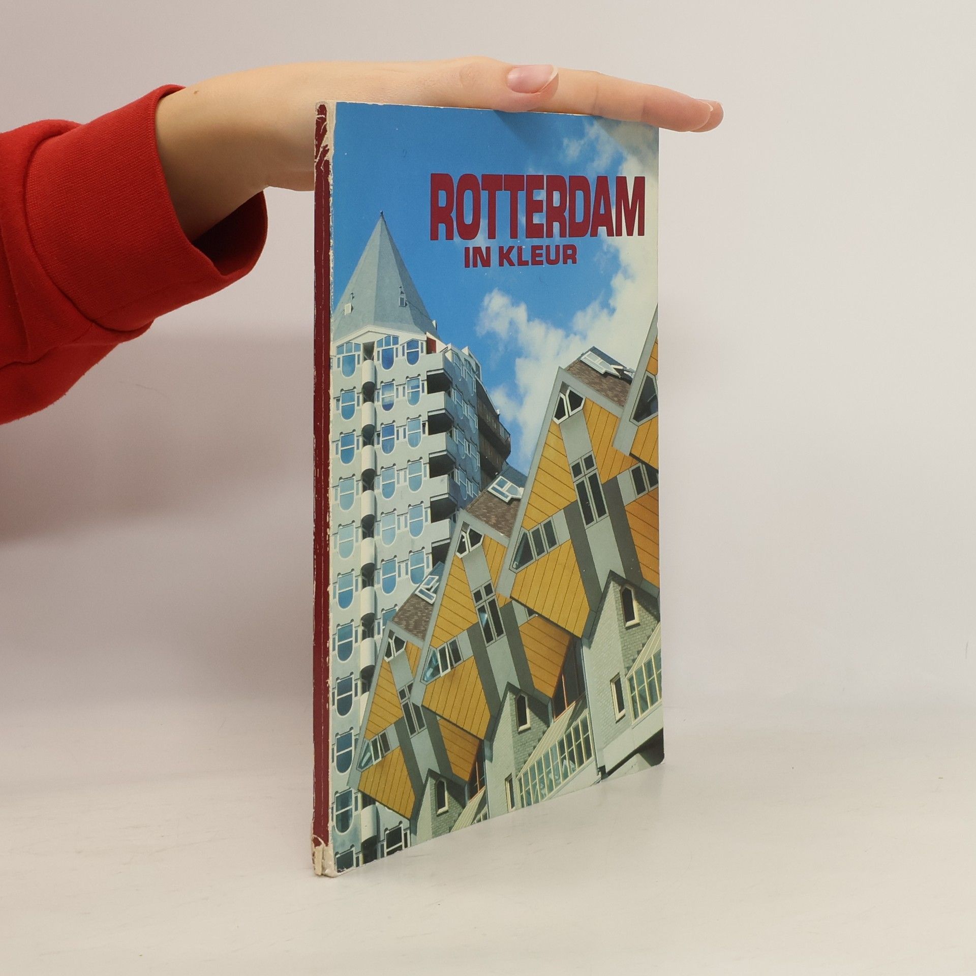 Pieter Vandermeer Rotterdam in Kleur