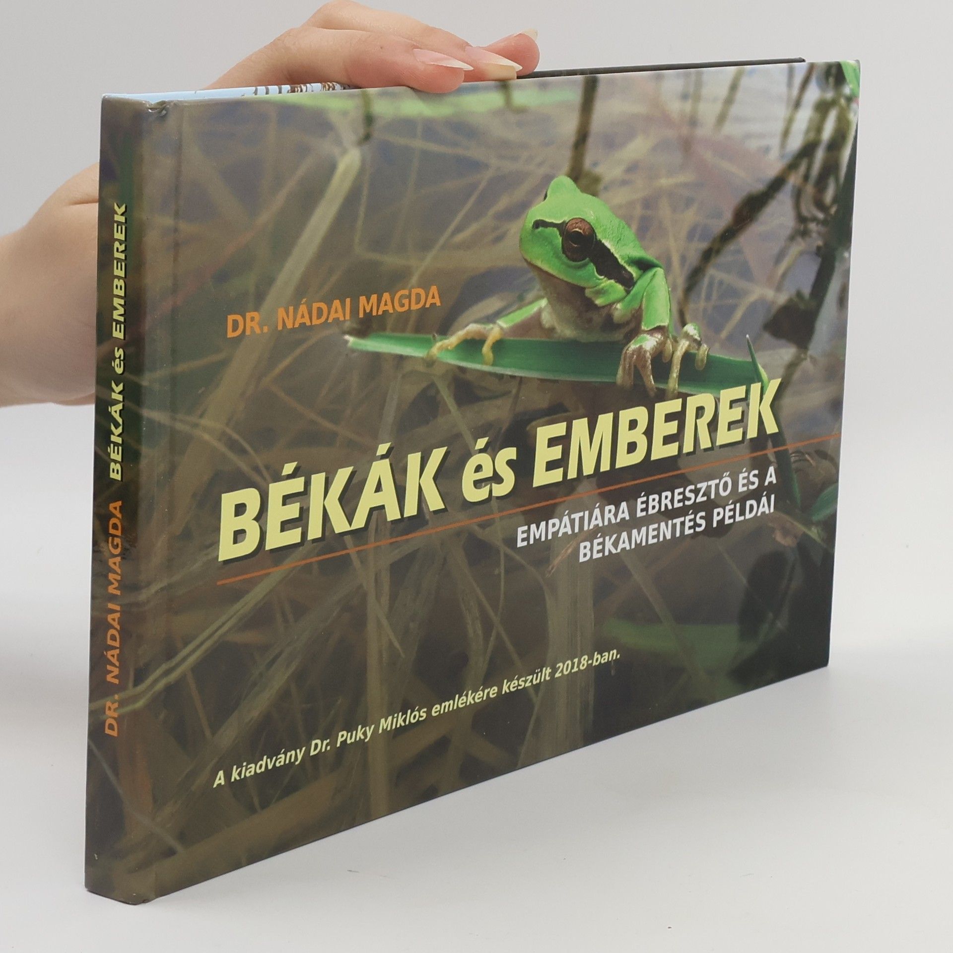 Nádai Magda Békák és emberek