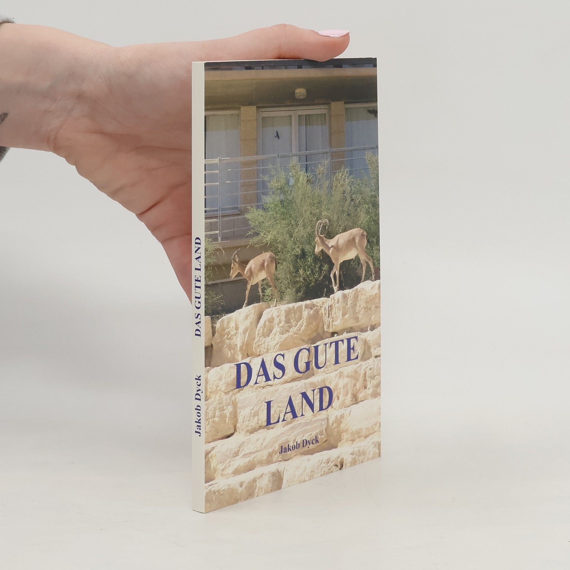 Jakob Dyck Das gute Land