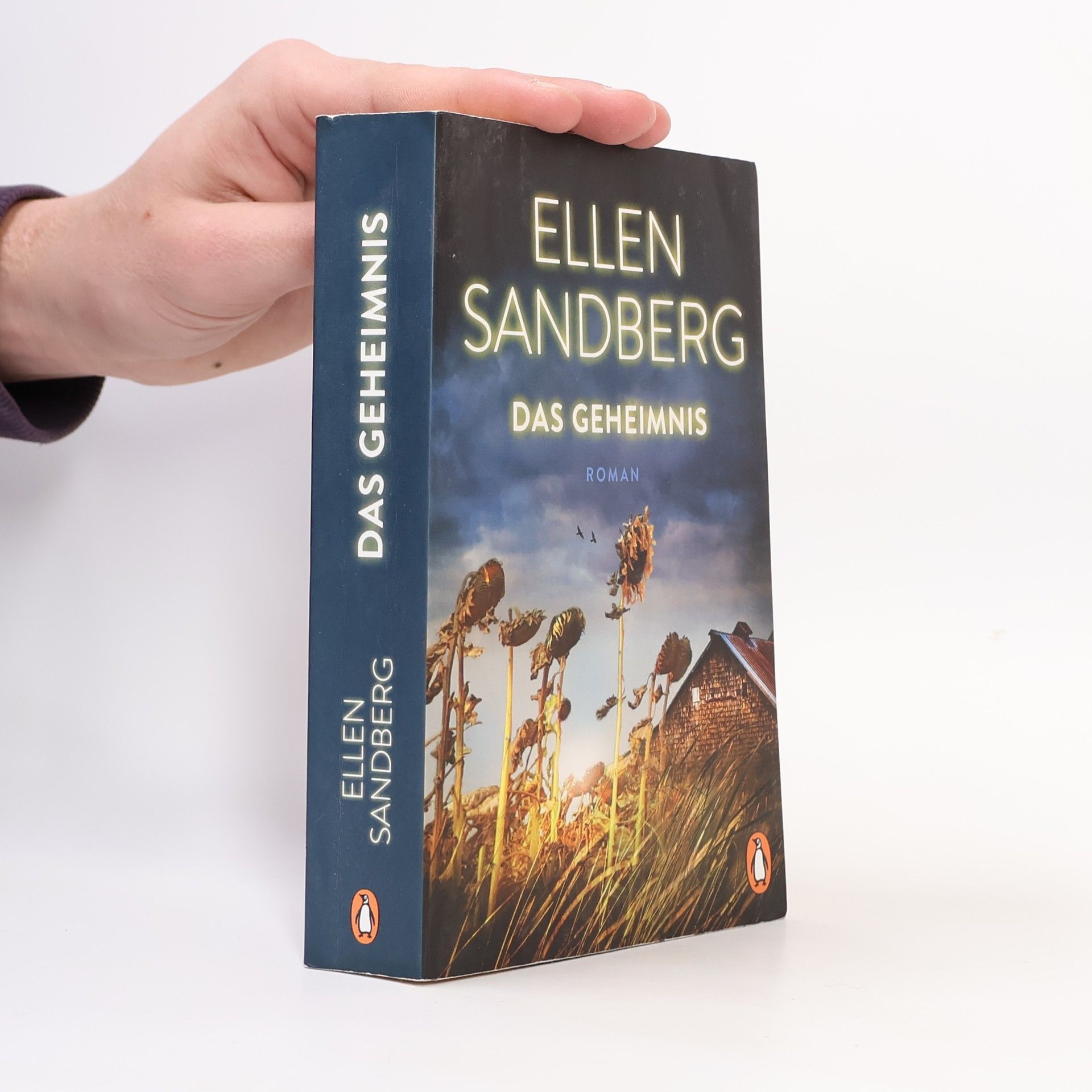 Ellen Sandberg Das Geheimnis