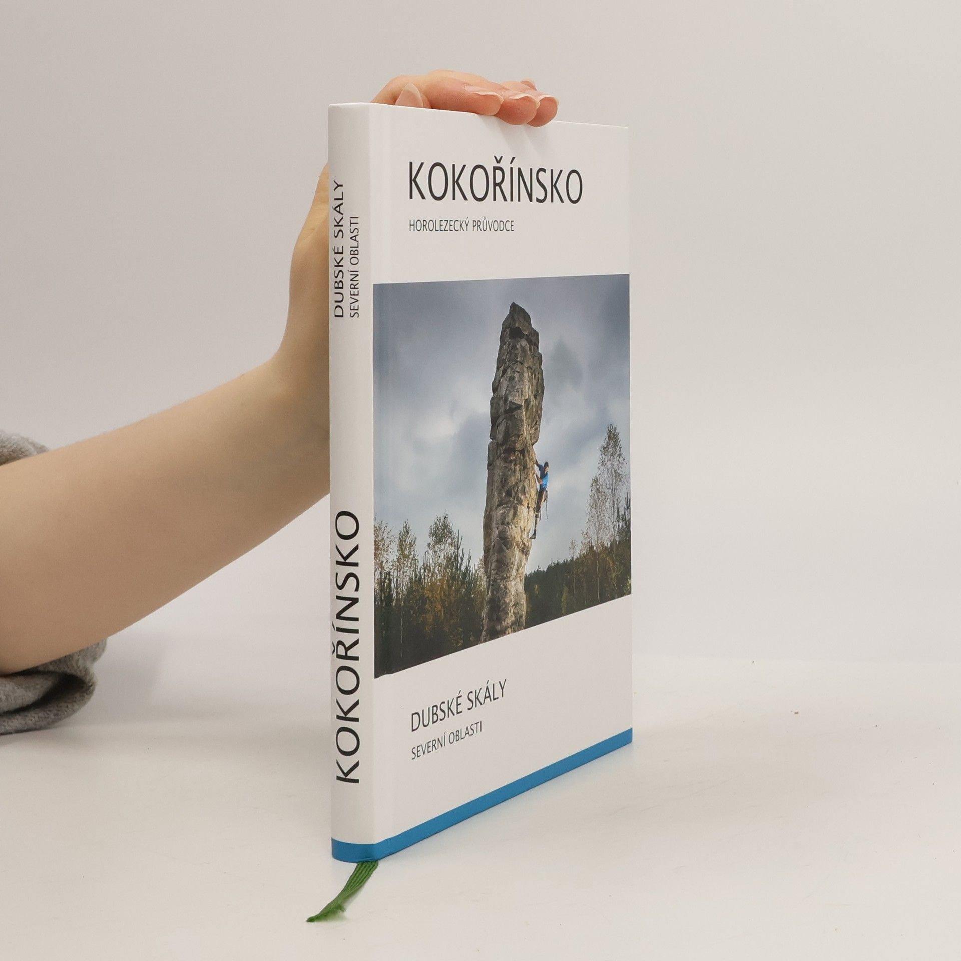 Kolektiv autorů Dubské skály: Severní oblasti