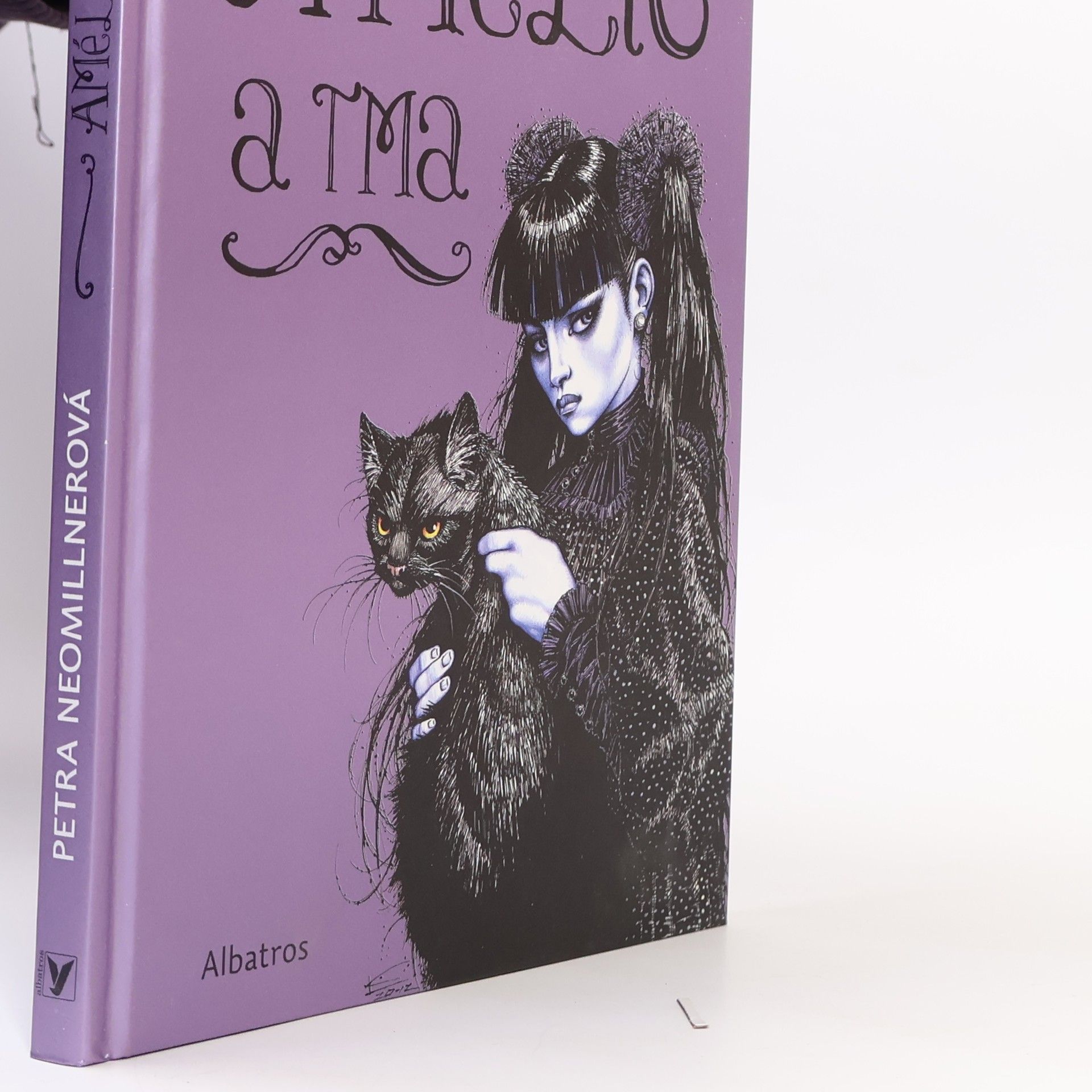 Petra Neomillnerová Amélie a tma