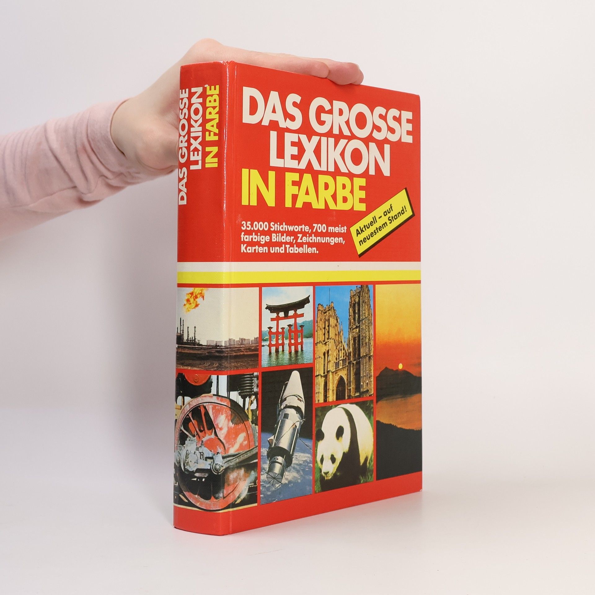 Kolektiv autorů Das grosse Lexikon in Farbe