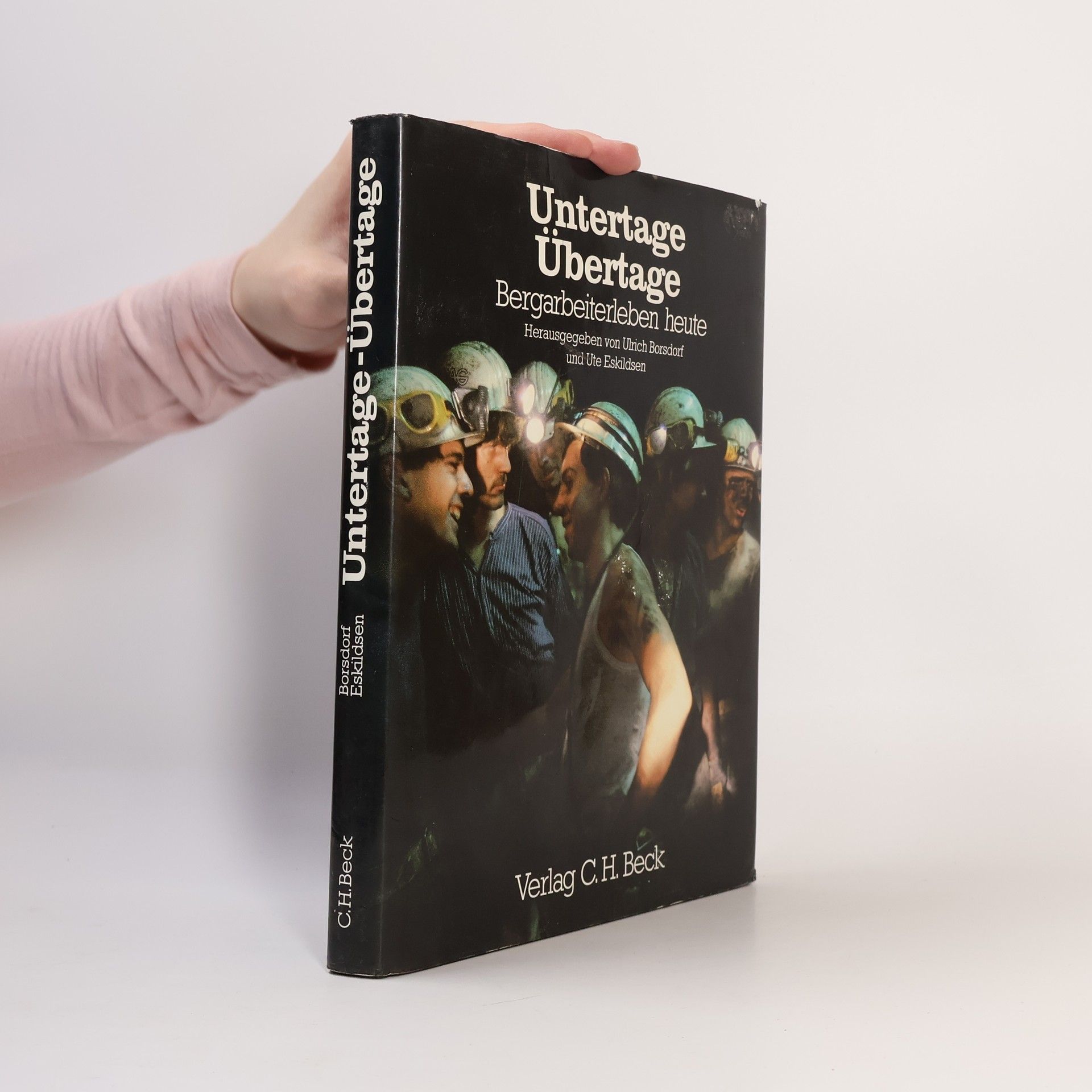 Ulrich Borsdorf Untertage - Übertage