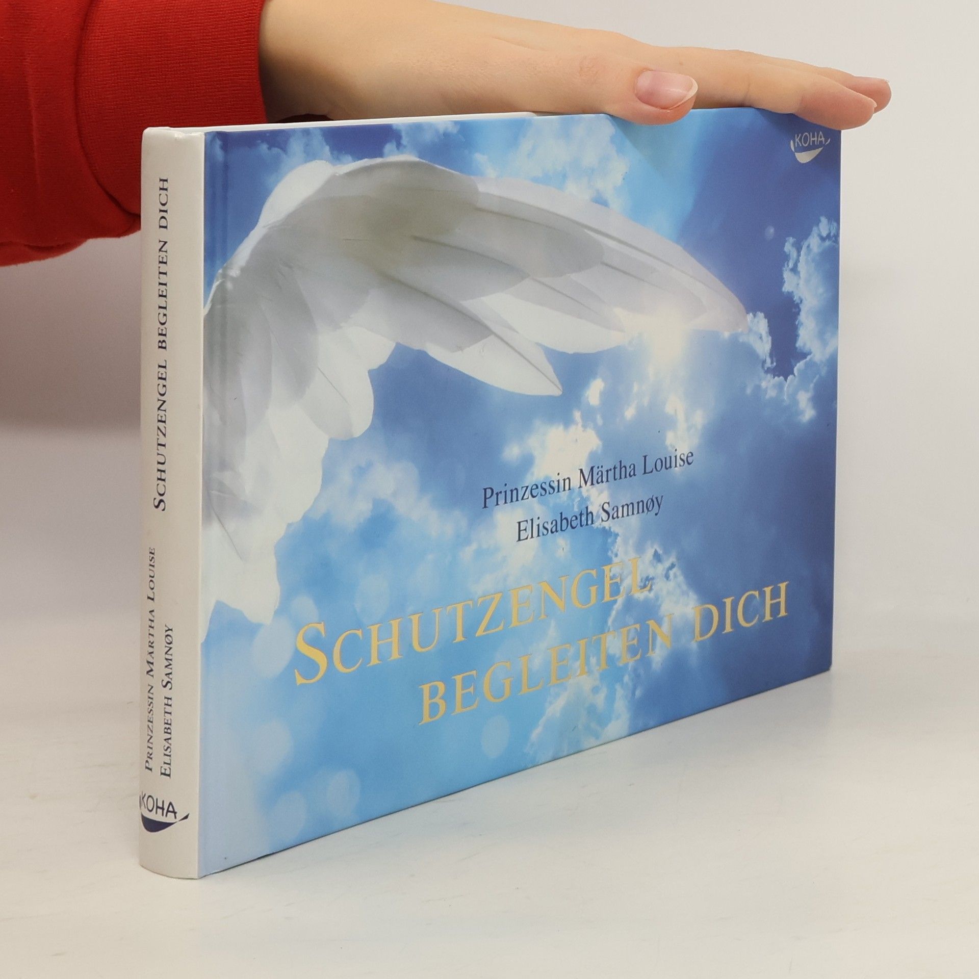 Schutzengel begleiten dich