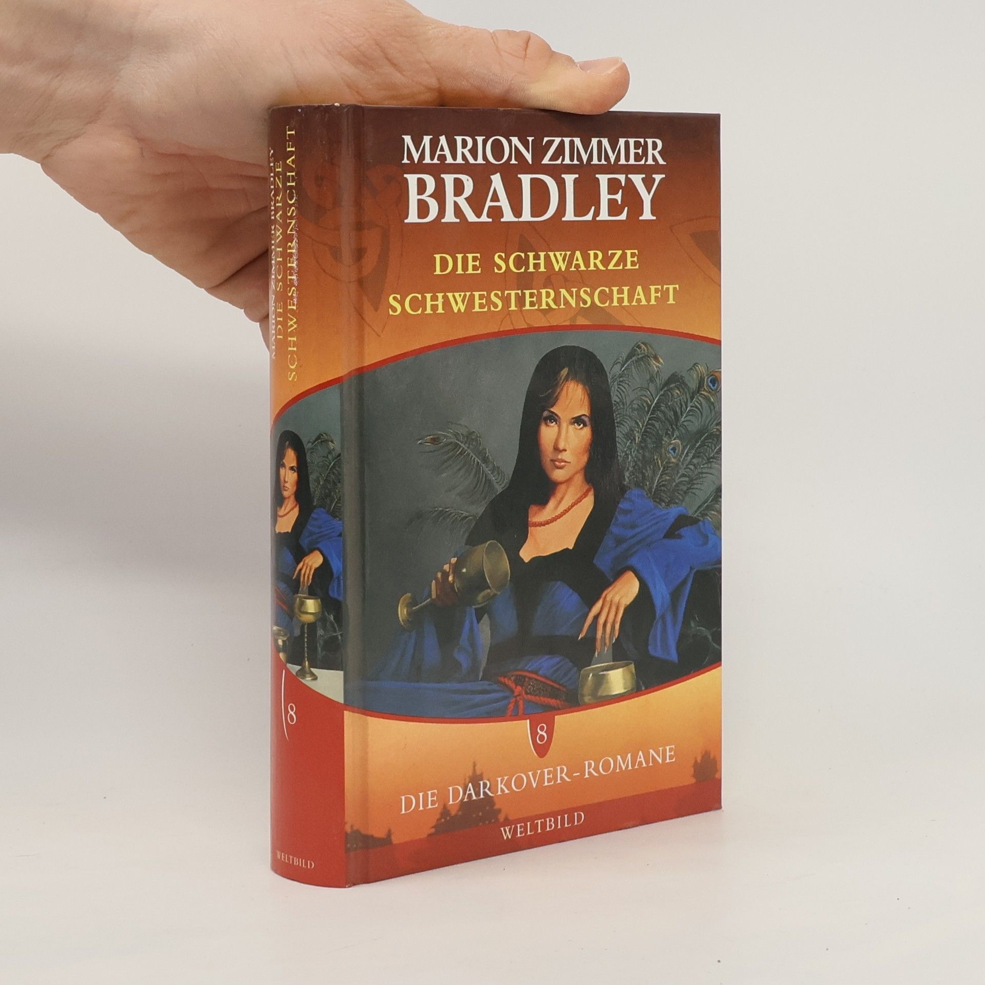 Marion Zimmer Bradley Die Darkover-Romane 8. Die schwarze Schwesternschaft