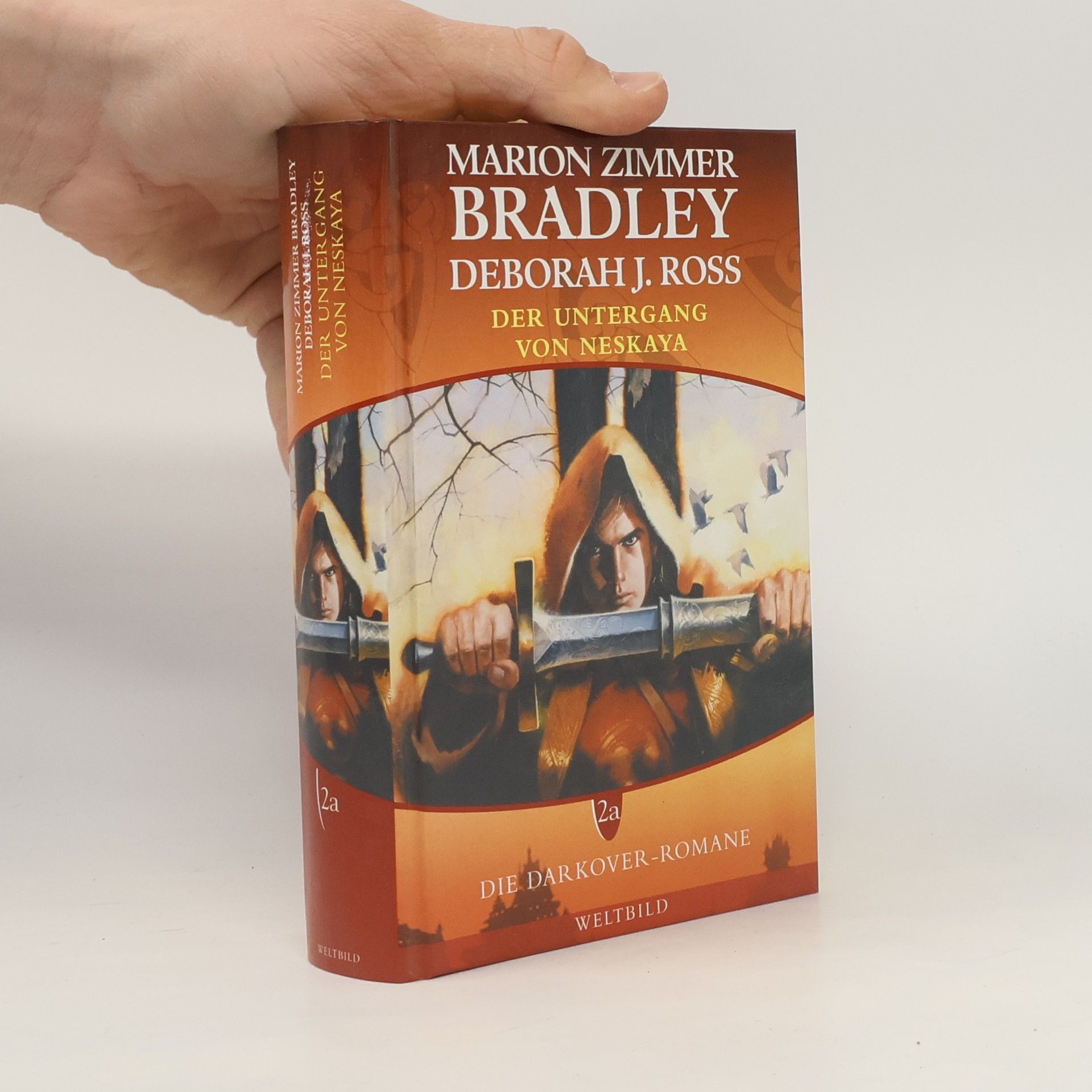 Marion Zimmer Bradley Die Darkover-Romane 2a. Der Untergang von Neskaya