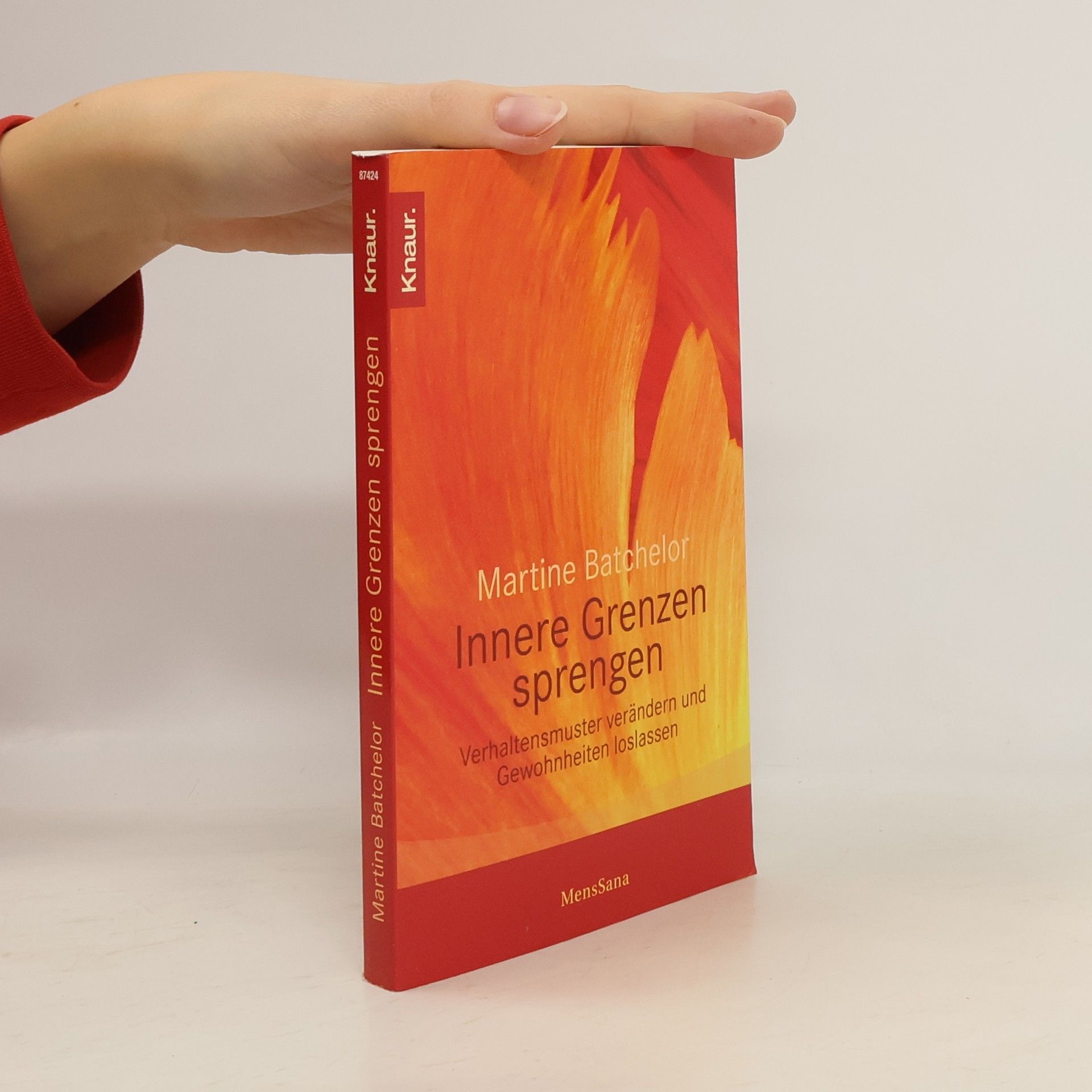 Martine Batchelor Innere Grenzen sprengen