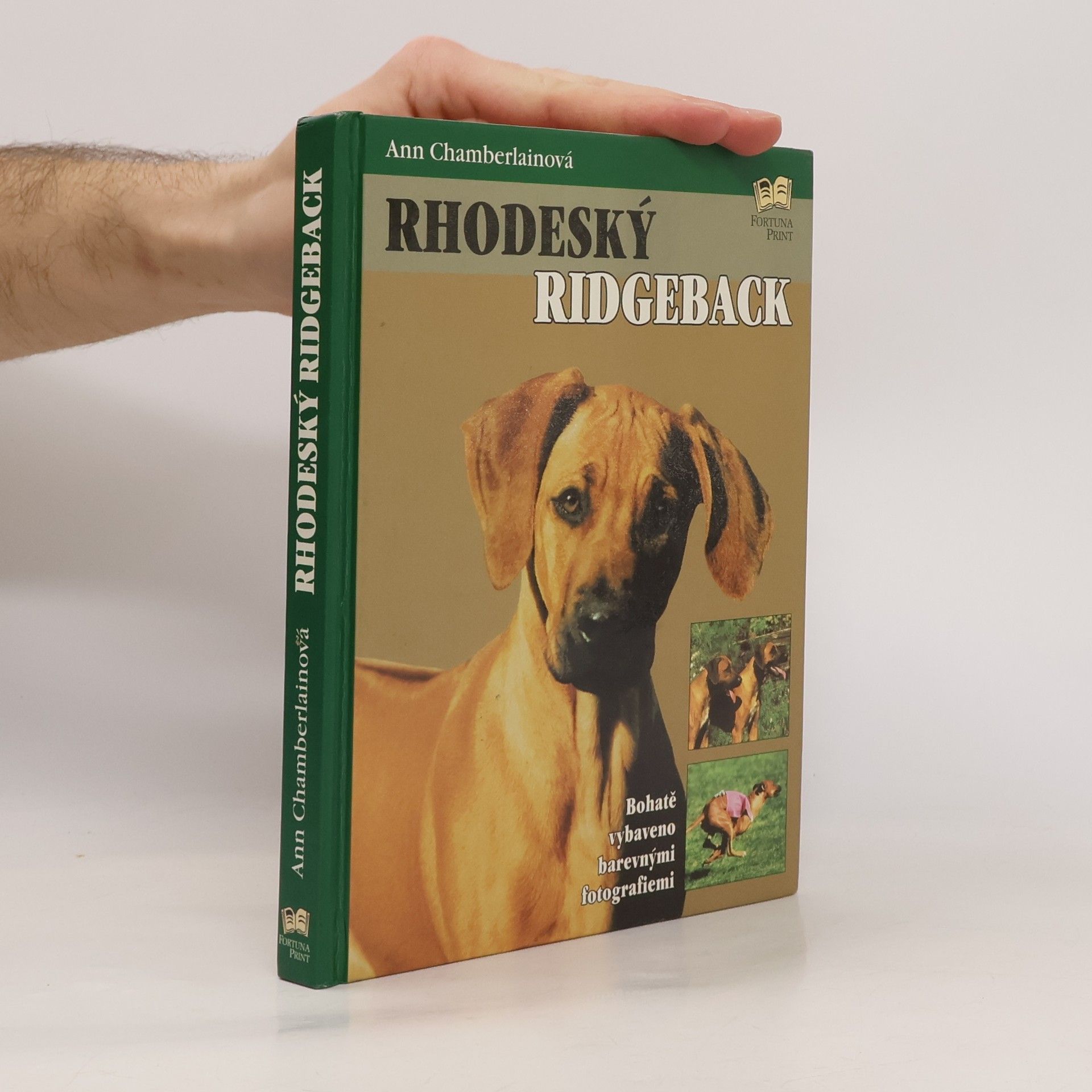 Ann Chamberlain Rhodeský ridgeback