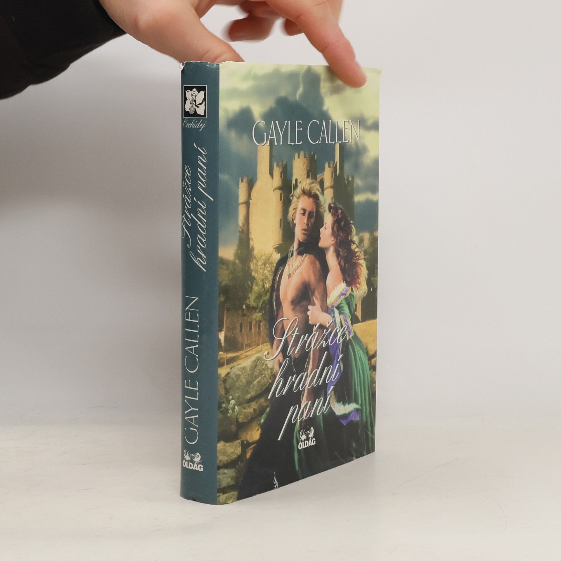 Julia Latham Strážce hradní paní