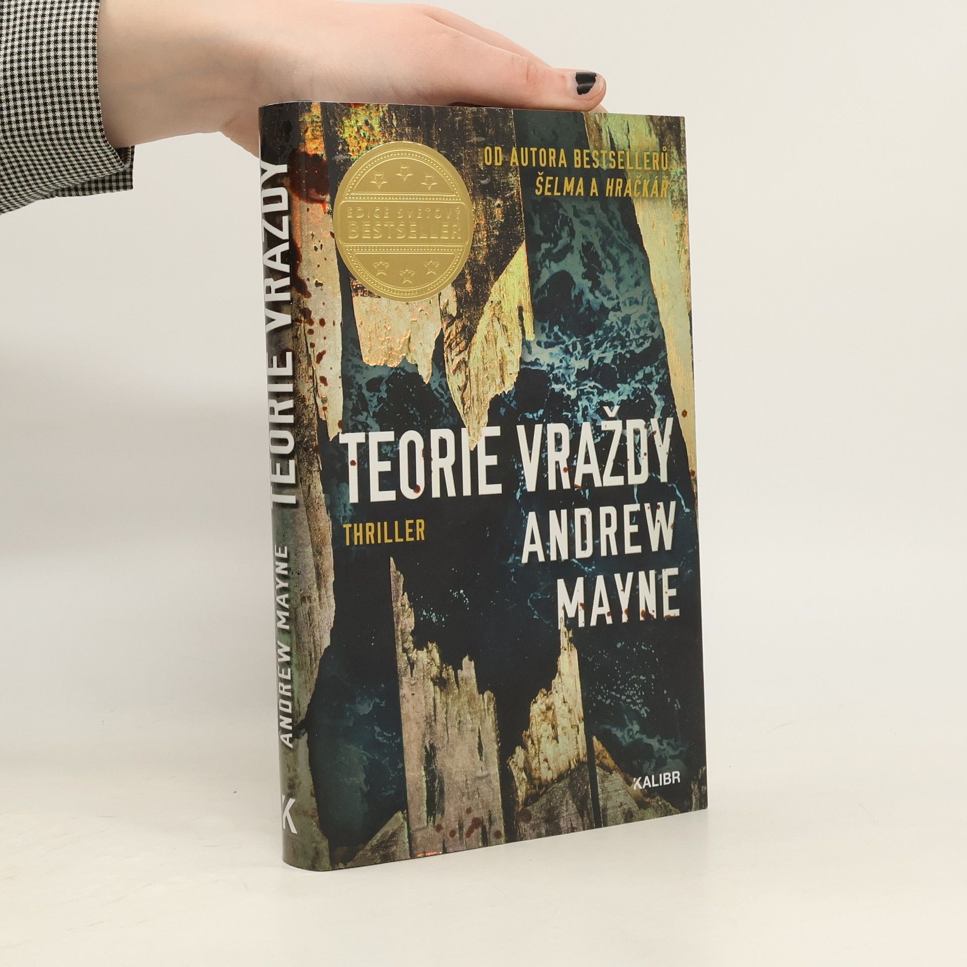 Andrew Mayne Teorie vraždy