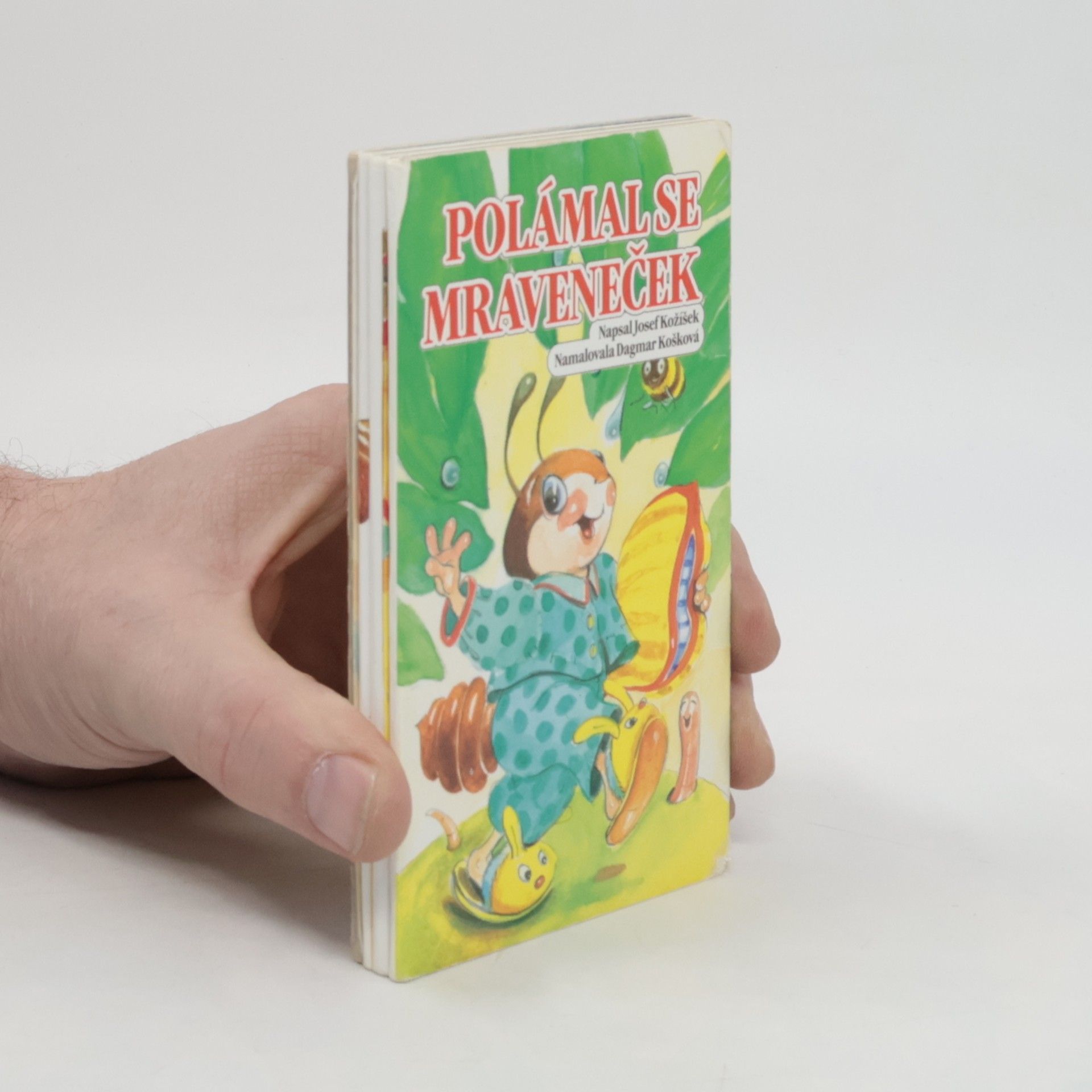 Polámal se mraveneček