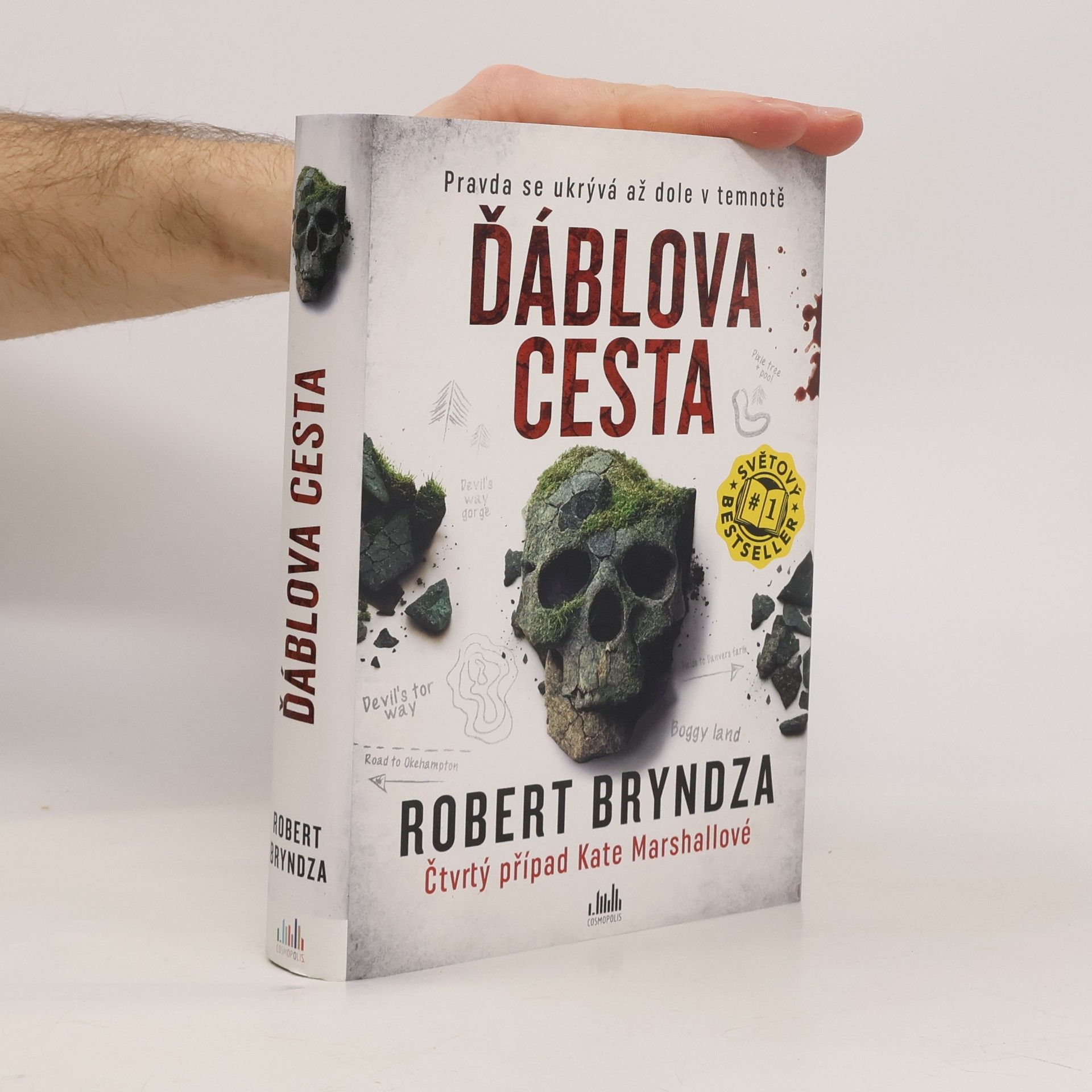 Robert Bryndza Ďáblova cesta