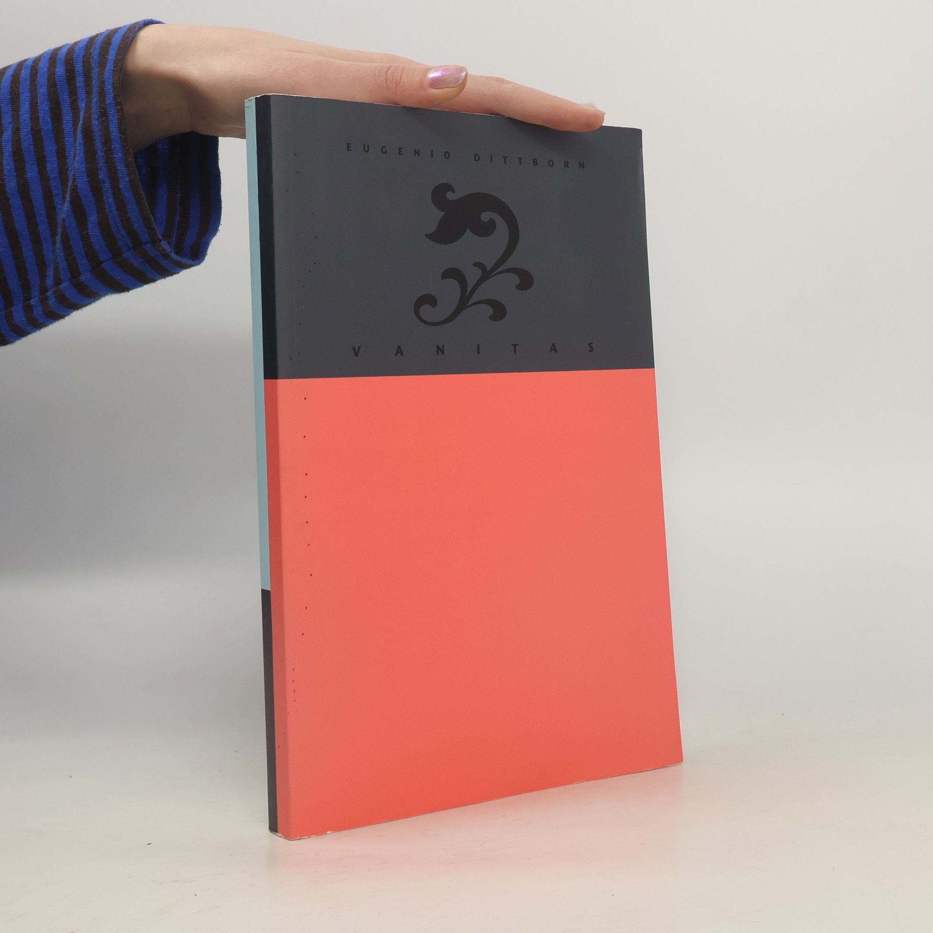 Eugenio Dittborn Vanitas