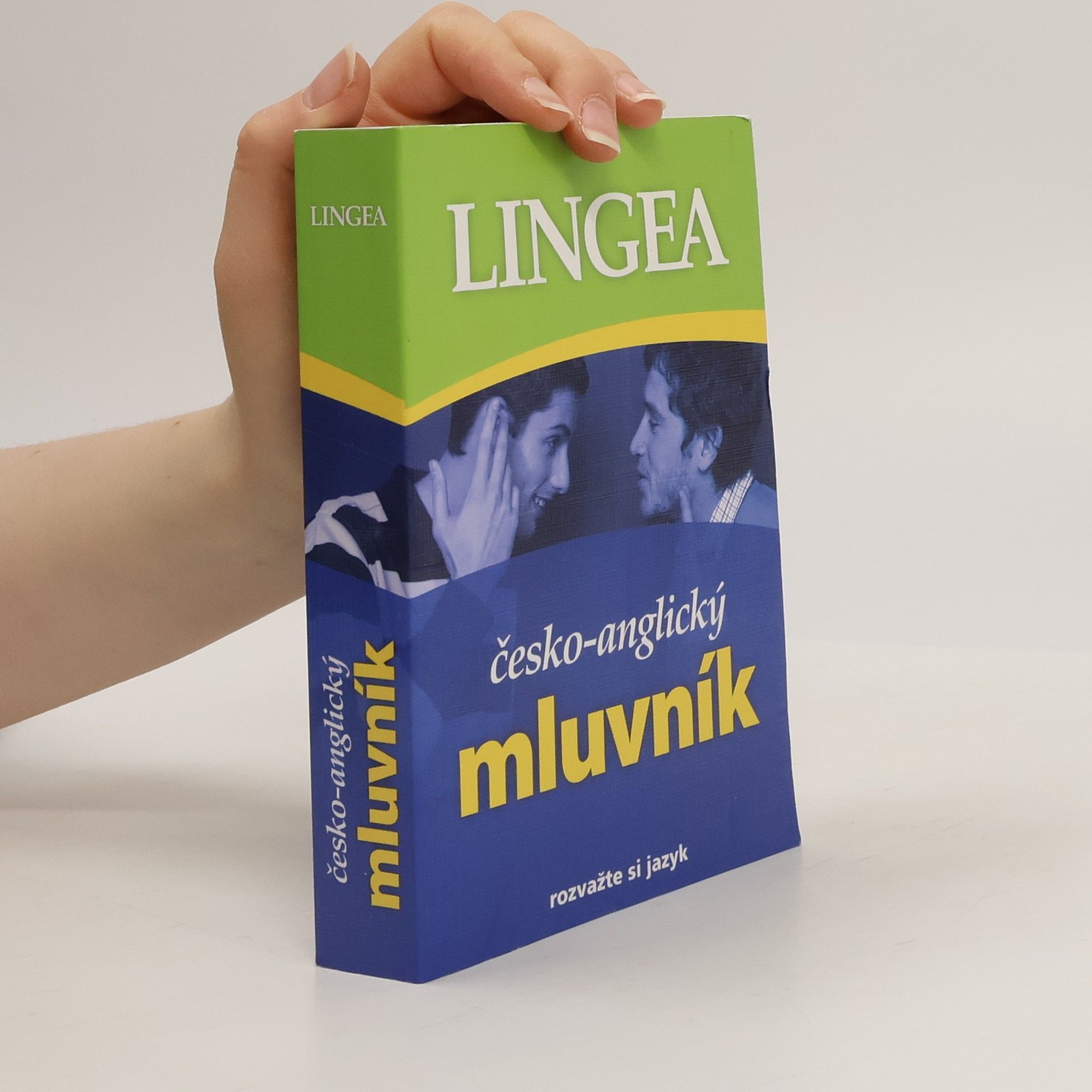 Kolektiv autorů Česko-anglický mluvník