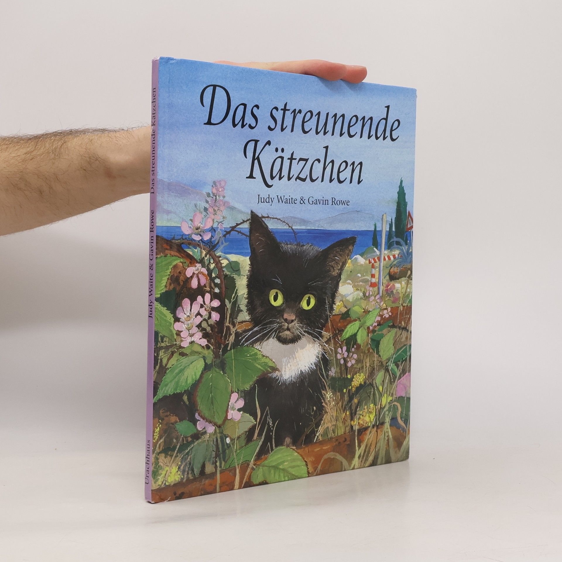 Judy Waite Das streunende Kätzchen