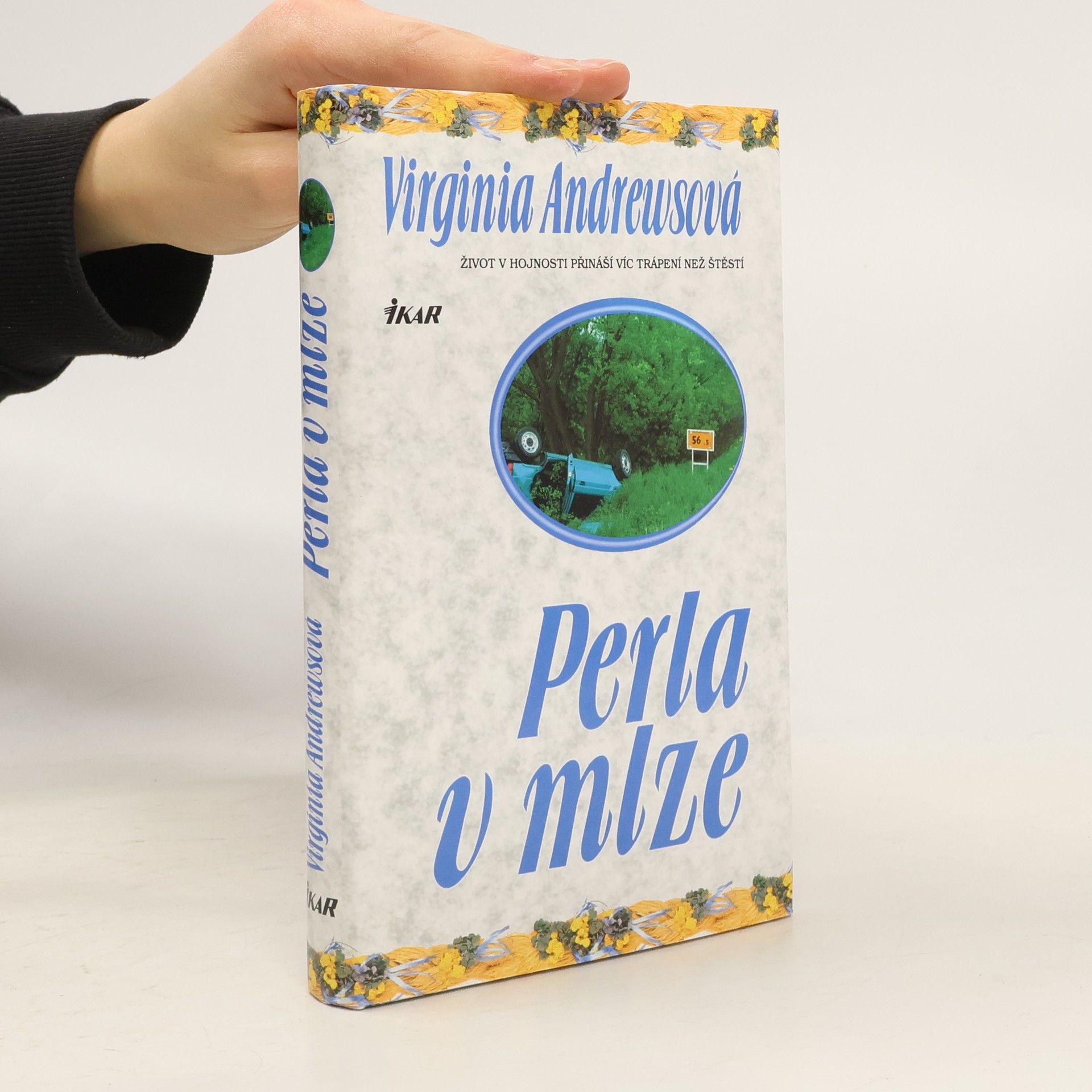 Virginia C. Andrewsová Perla v mlze