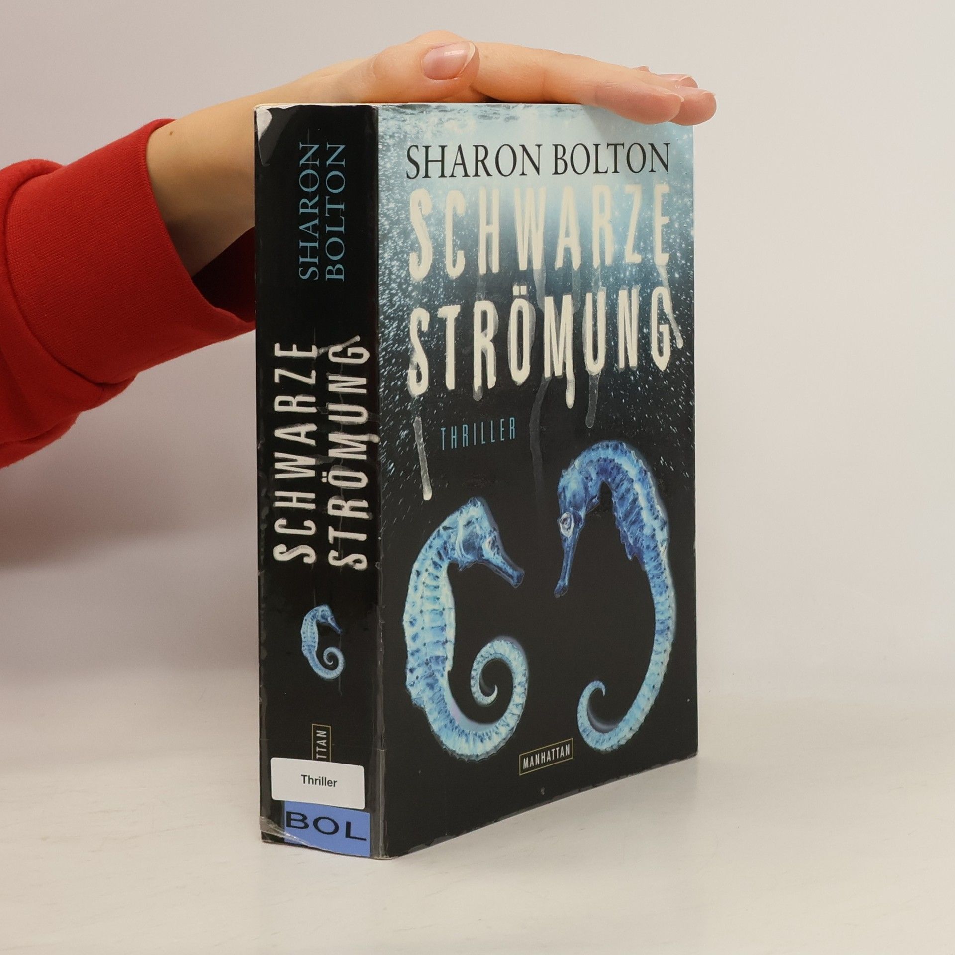 S. J. Bolton Schwarze Strömung