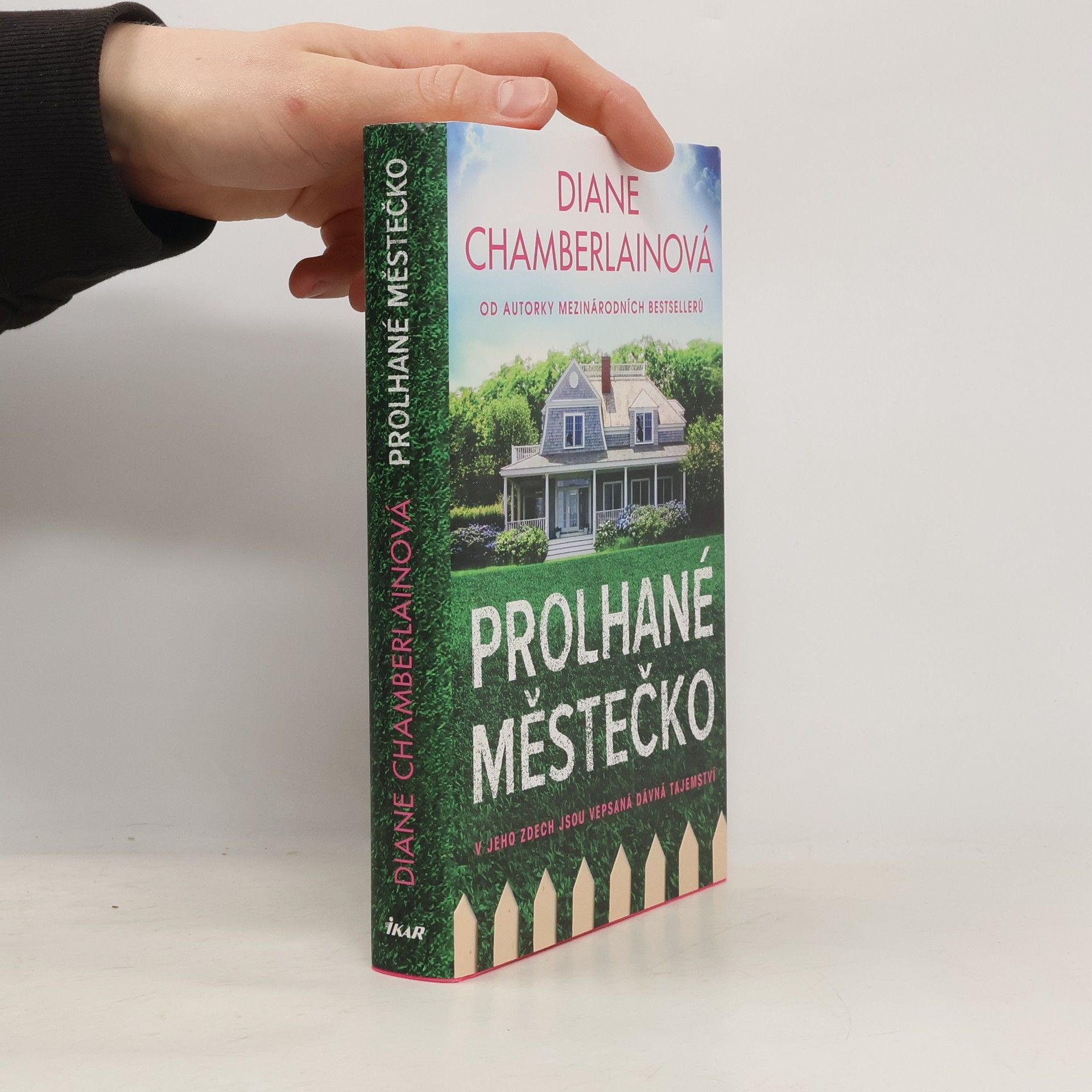 Diane Chamberlain Prolhané městečko