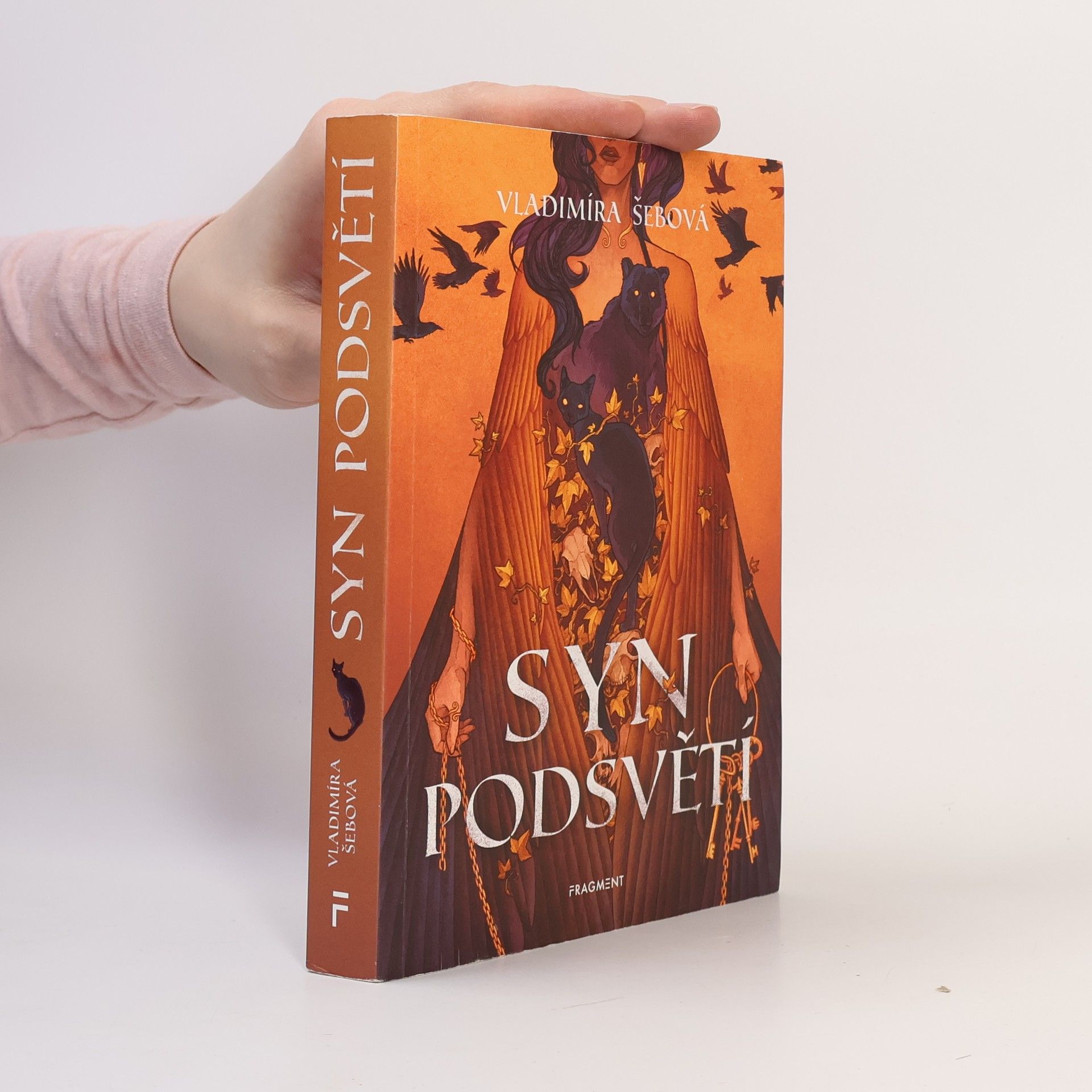 Vladimíra Šebová Syn podsvětí