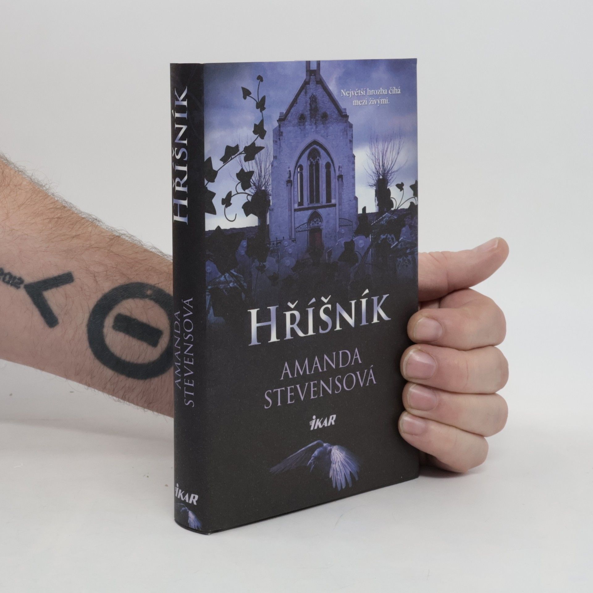 Amanda Stevens Hříšník