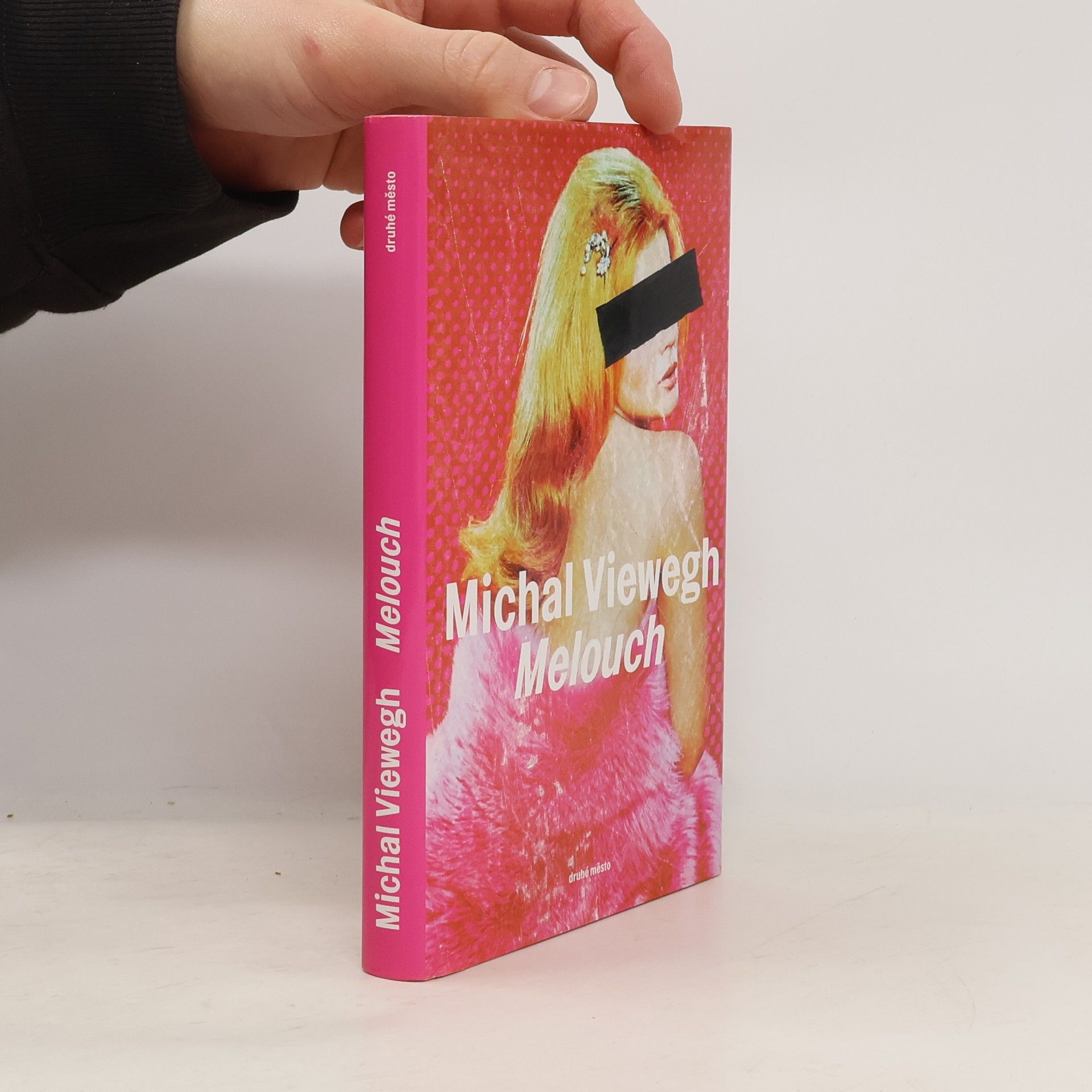 Michal Viewegh Melouch